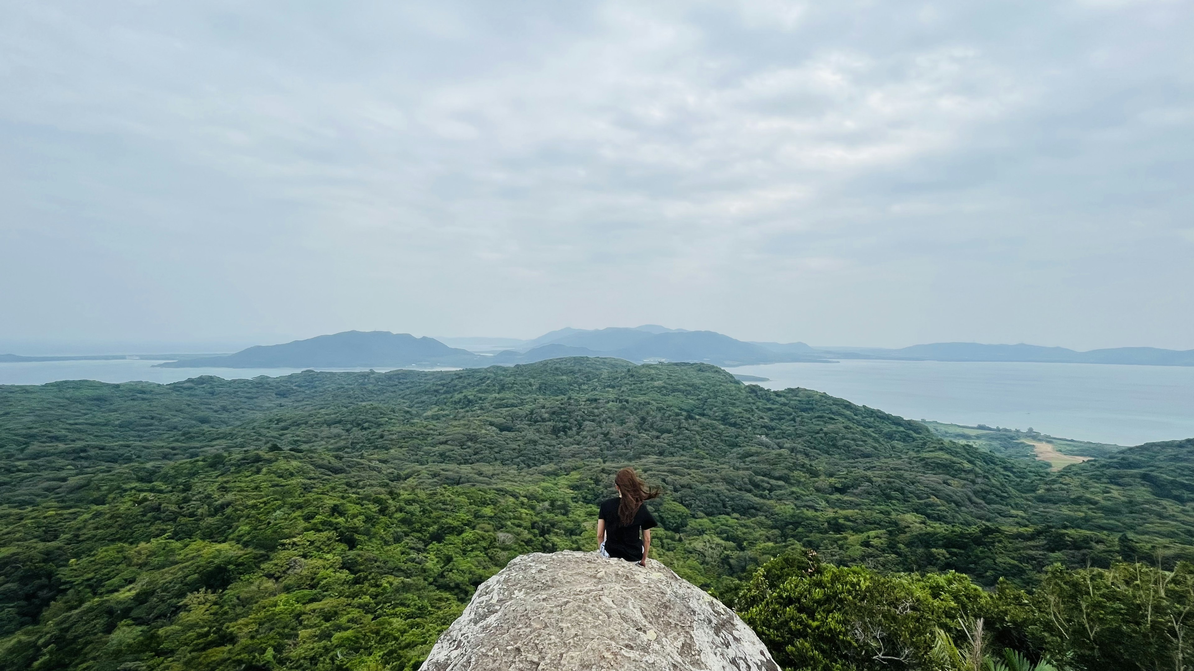 山の頂上に座っている女性が広大な森林と海を見渡している風景