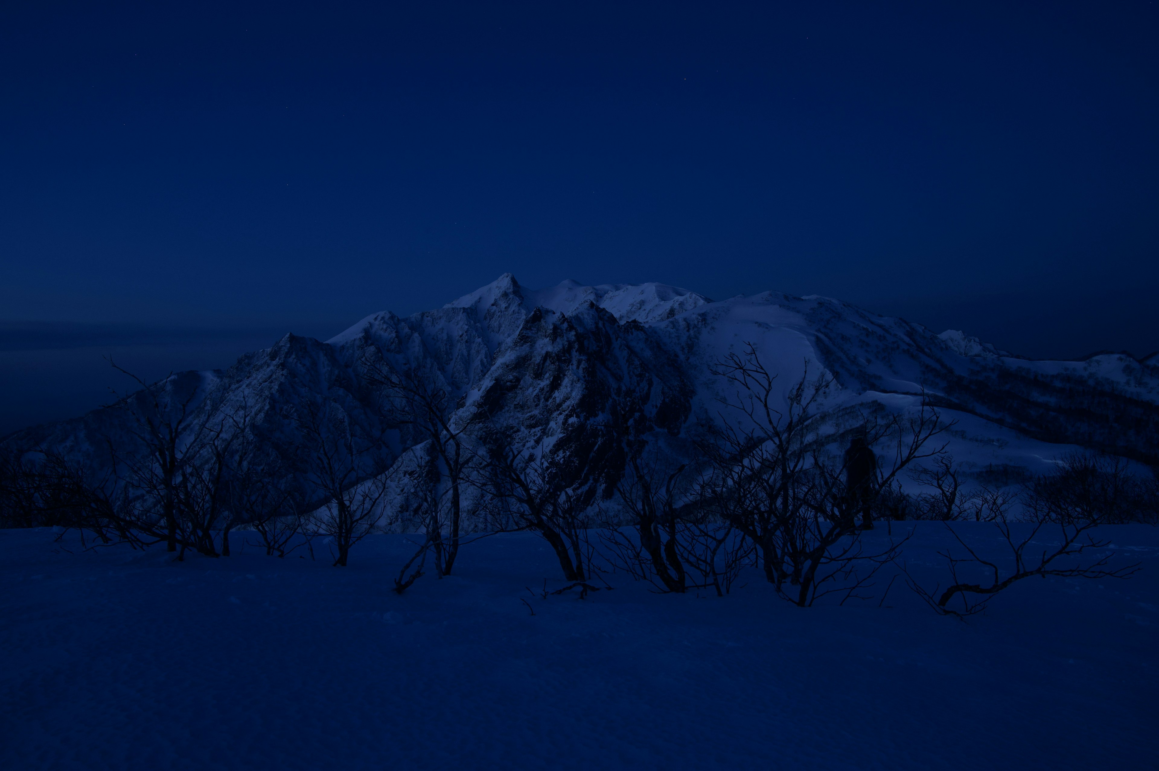 夜の雪山の風景、暗い青色の空、雪に覆われた山々、枯れ木のシルエット