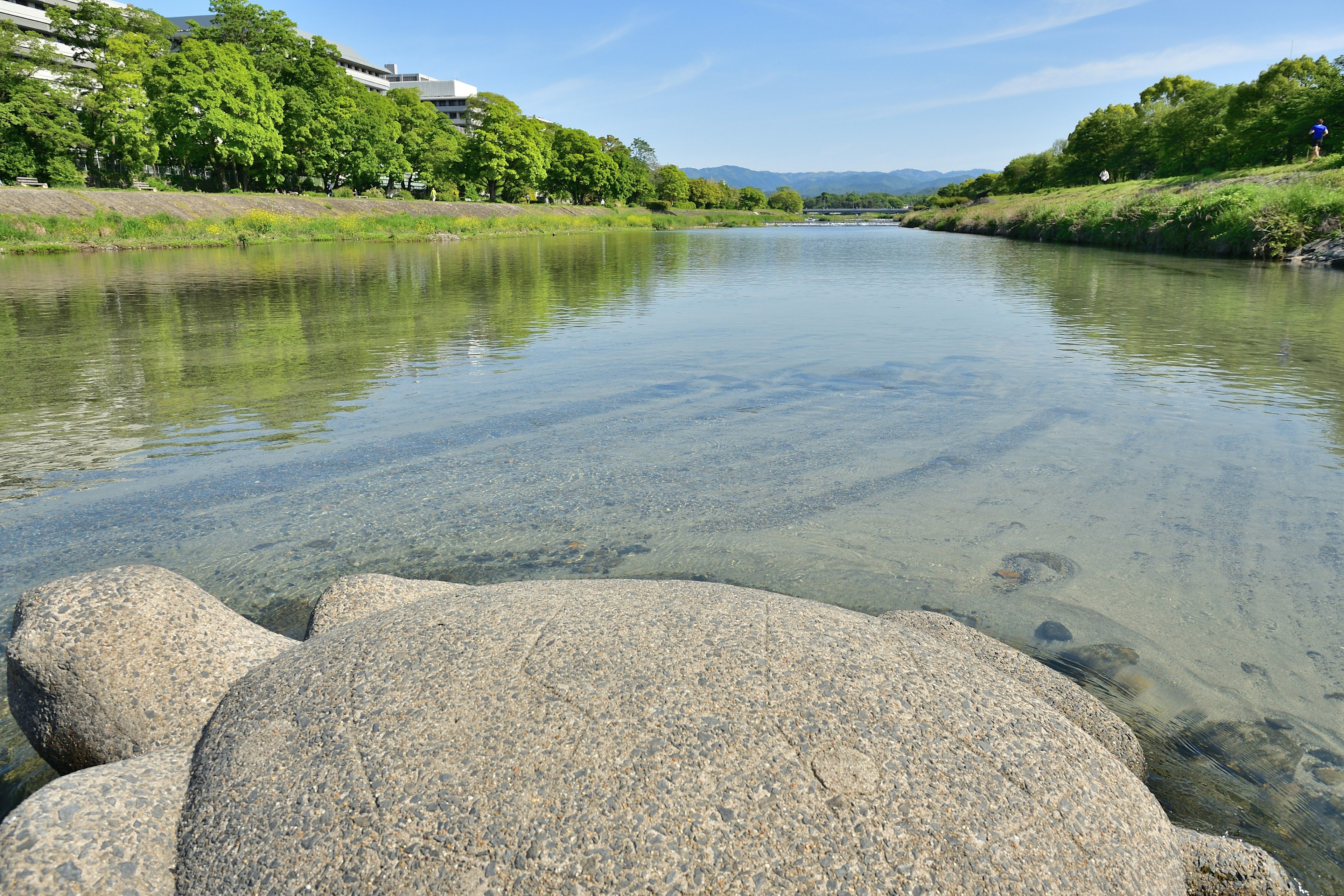 Calm river scene with a large rock and lush greenery