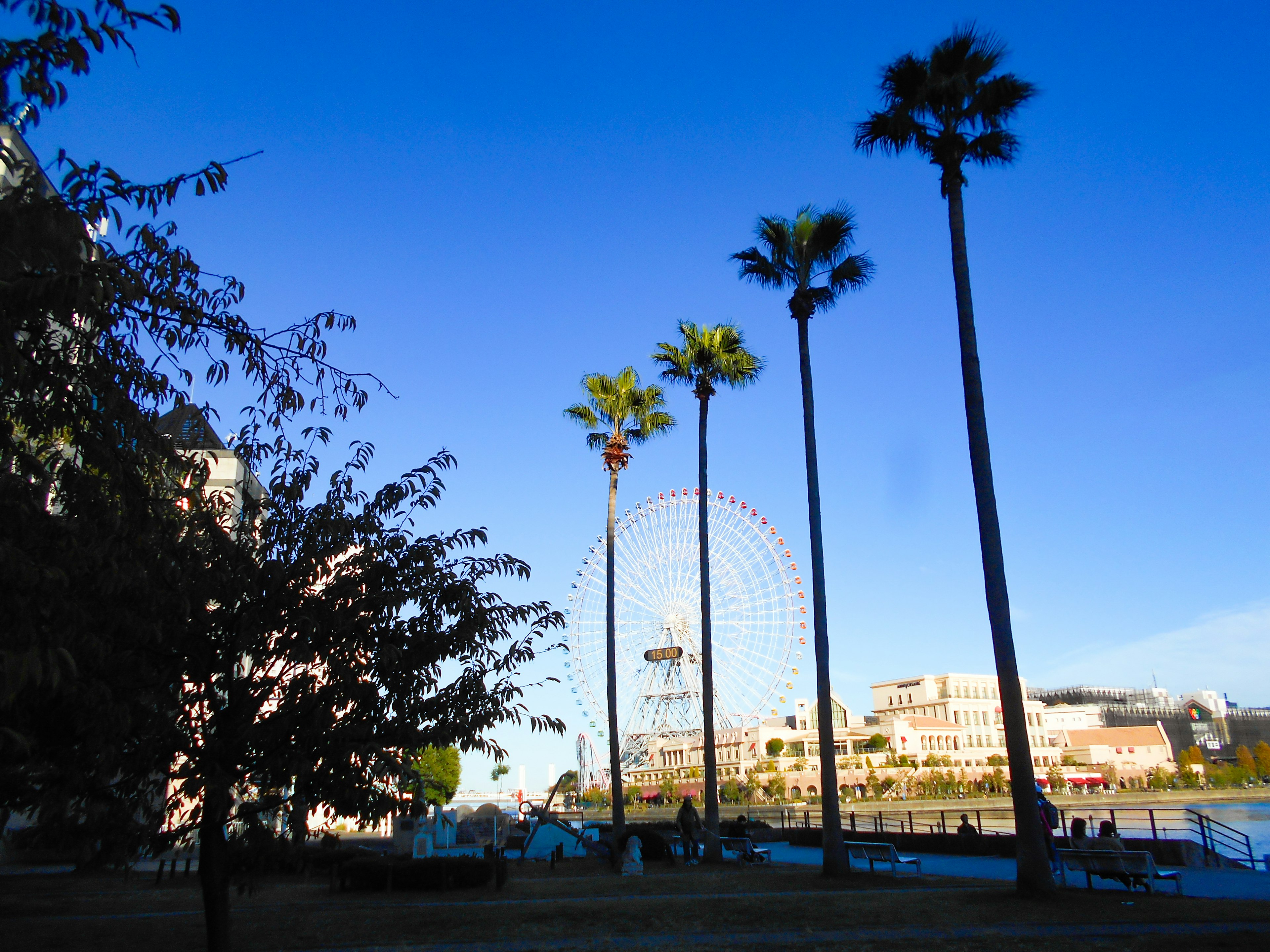 Landscape featuring palm trees and a Ferris wheel under a blue sky