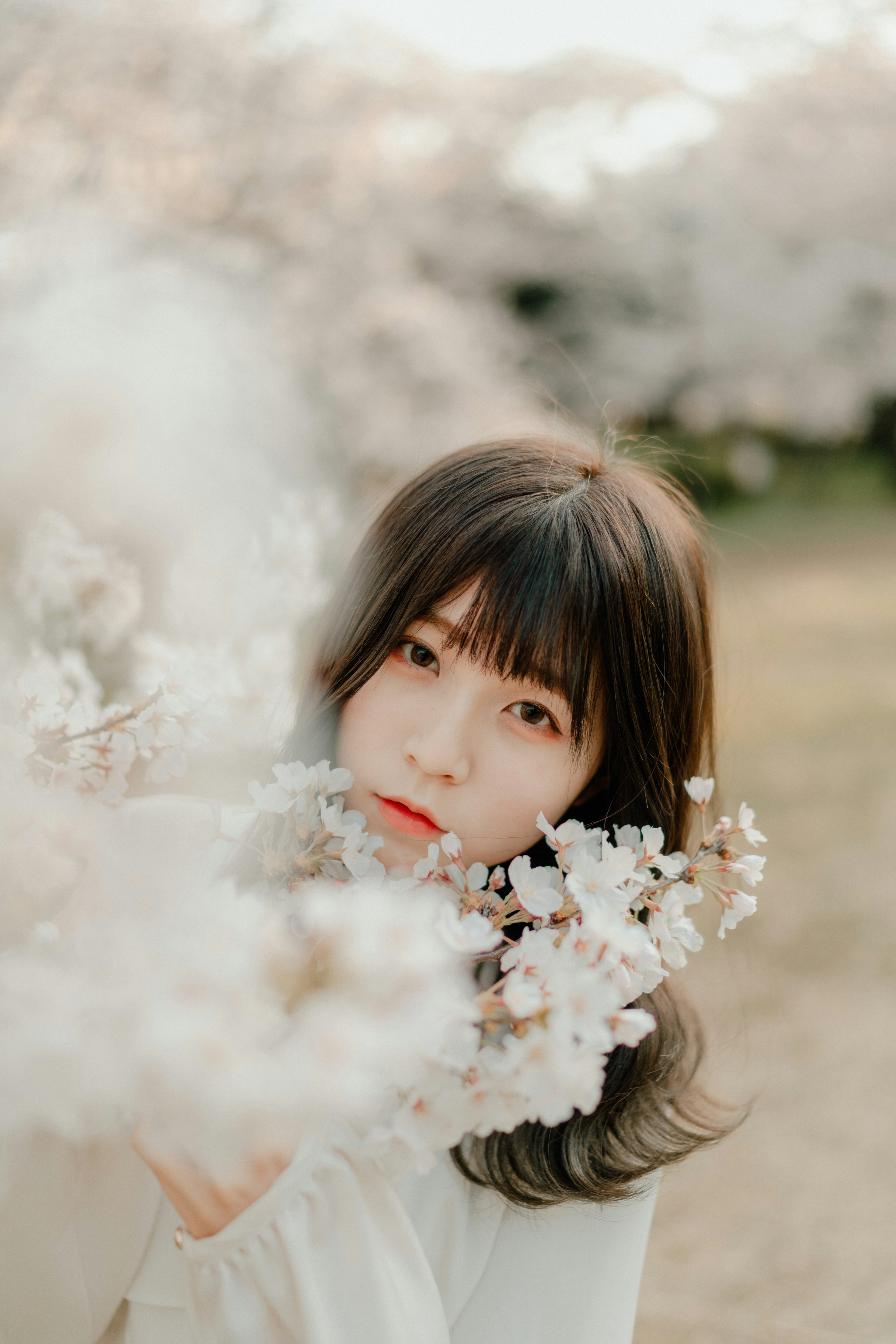 花を持っている女性のポートレート 背景には桜の木がある