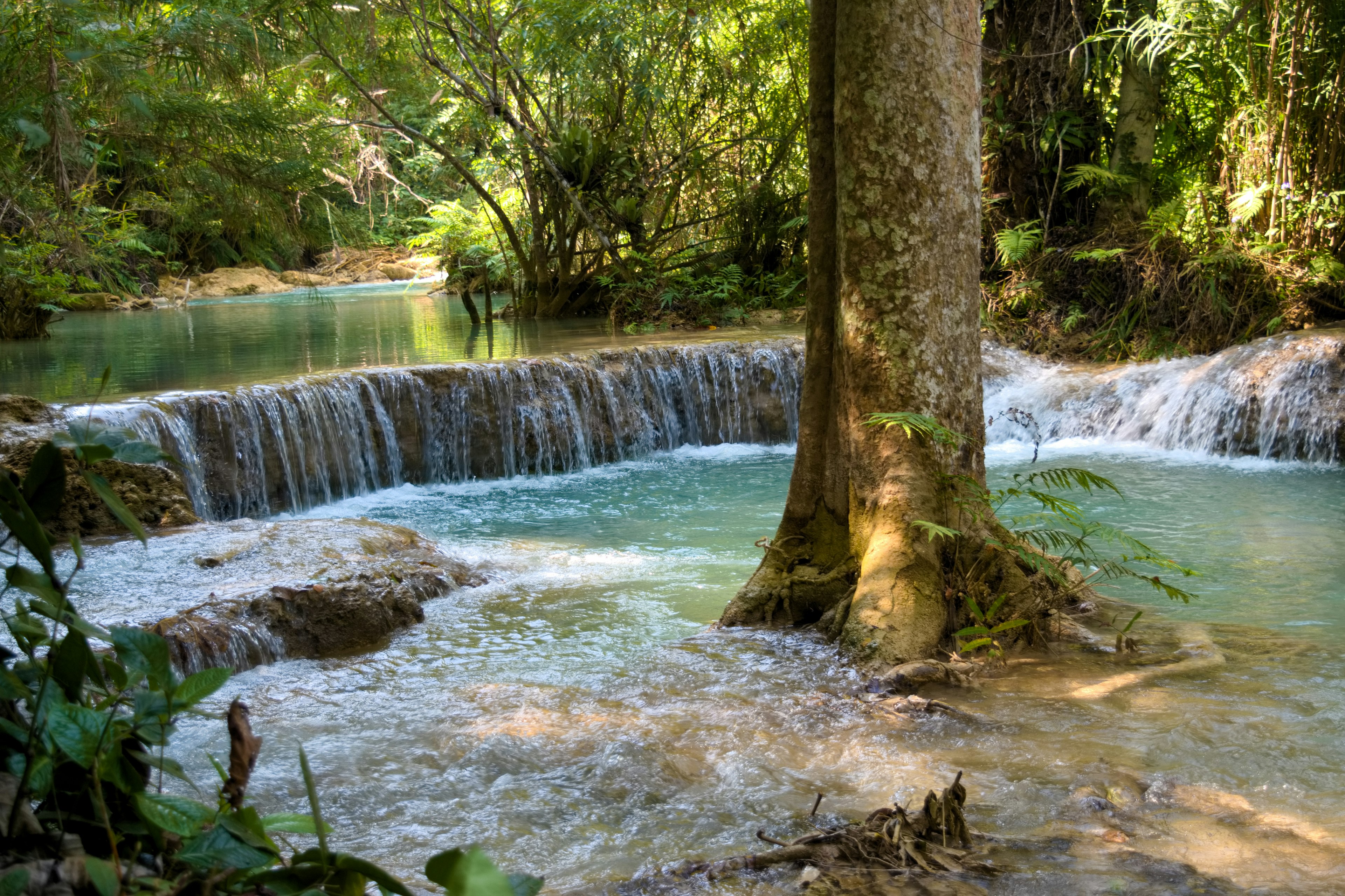 Pemandangan alami dengan air biru dan air terjun dikelilingi pohon hijau