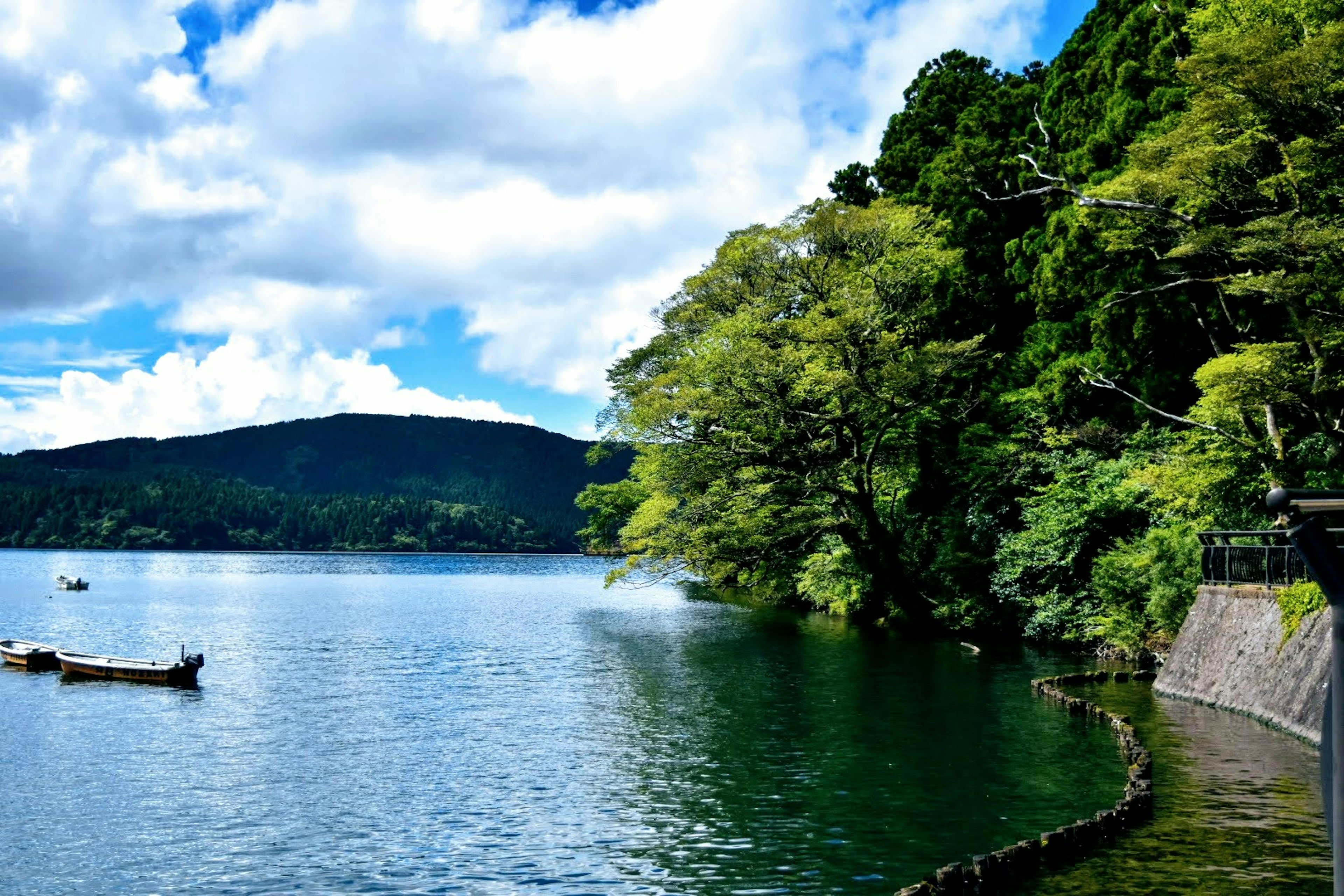 Pemandangan indah danau dengan air biru dan pepohonan hijau subur