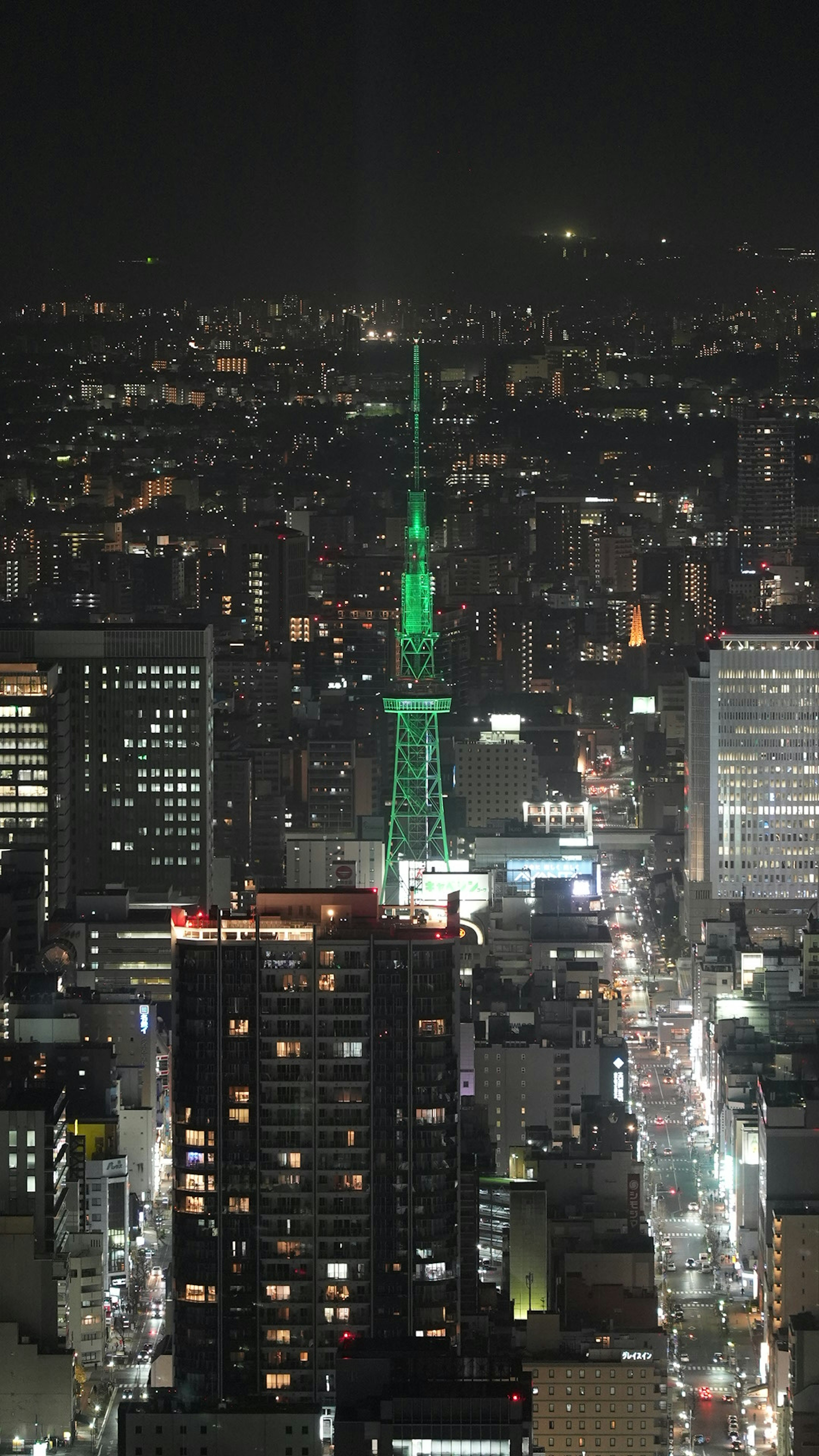 名古屋の夜景にそびえる緑の名古屋テレビ塔