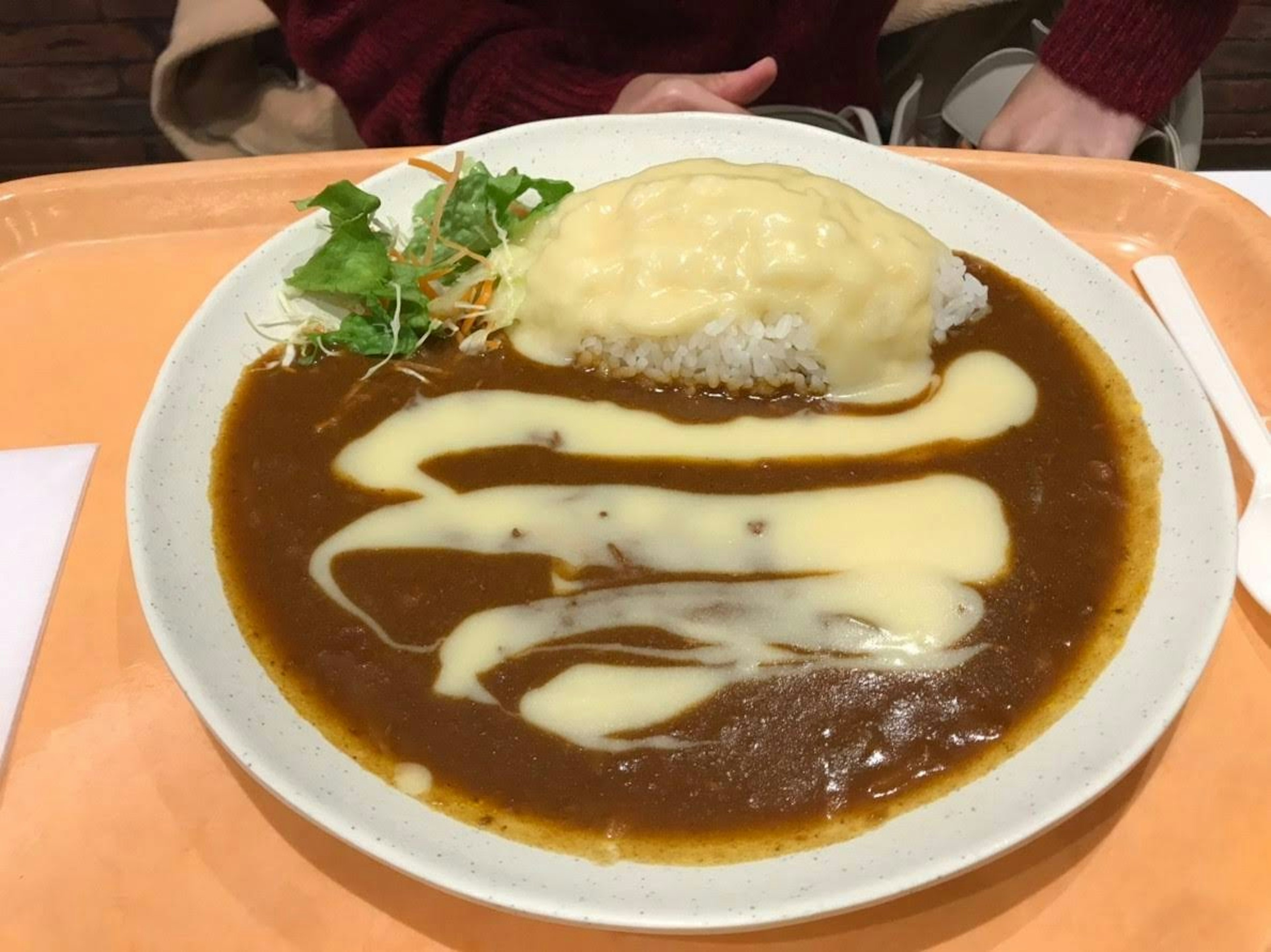 Plat avec sauce au curry, riz crémeux et salade sur le côté