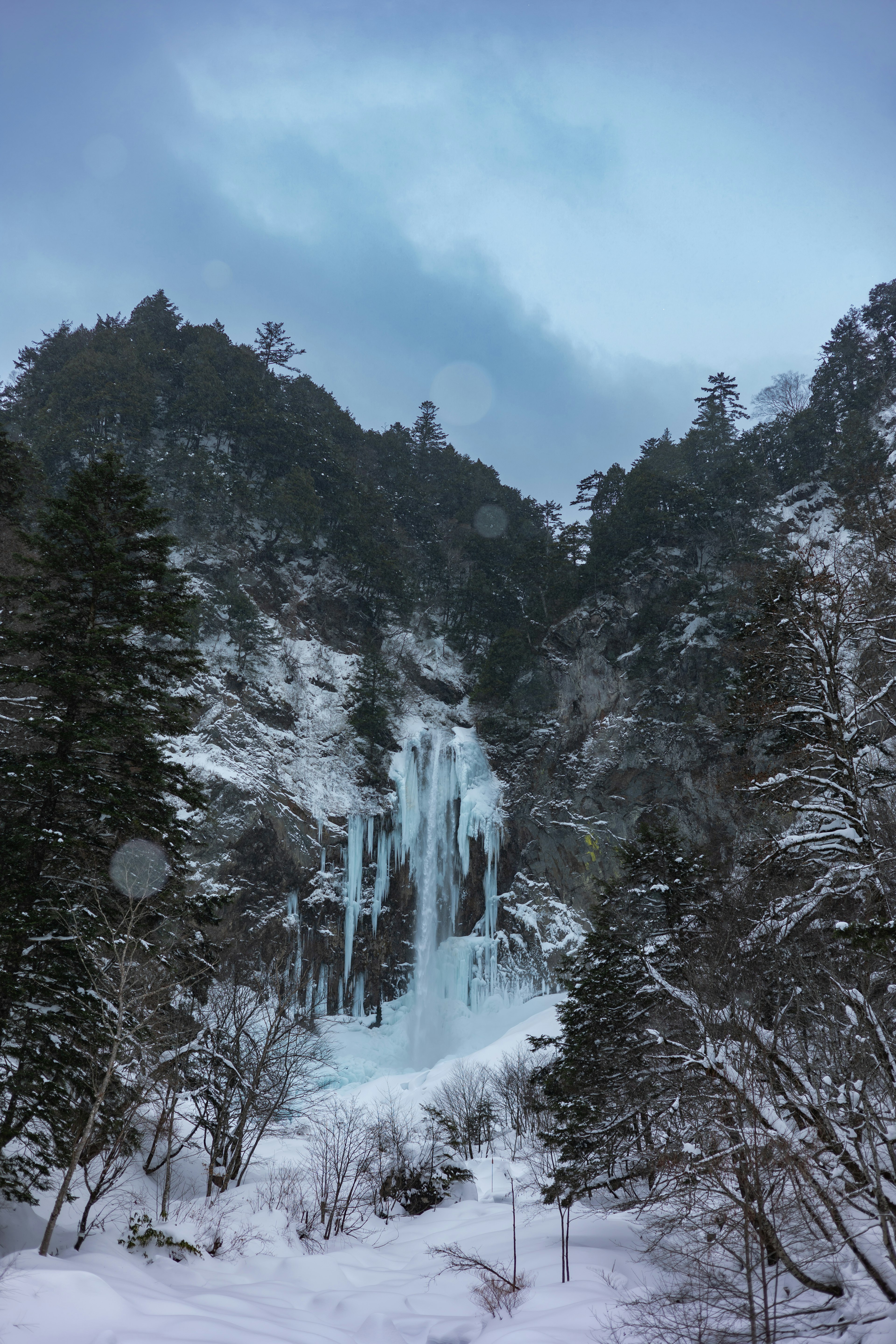 雪に覆われた山々の間にある氷の滝と周囲の木々