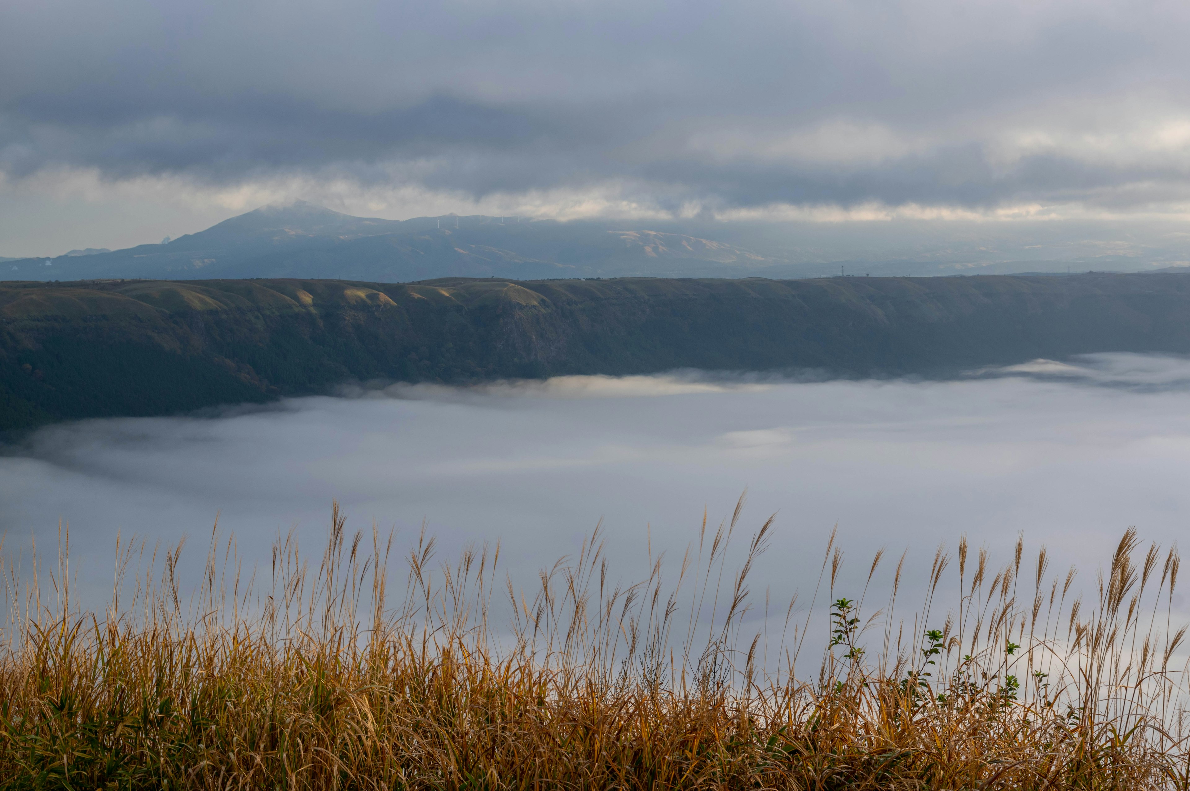 Fog-covered mountain landscape with grassy foreground