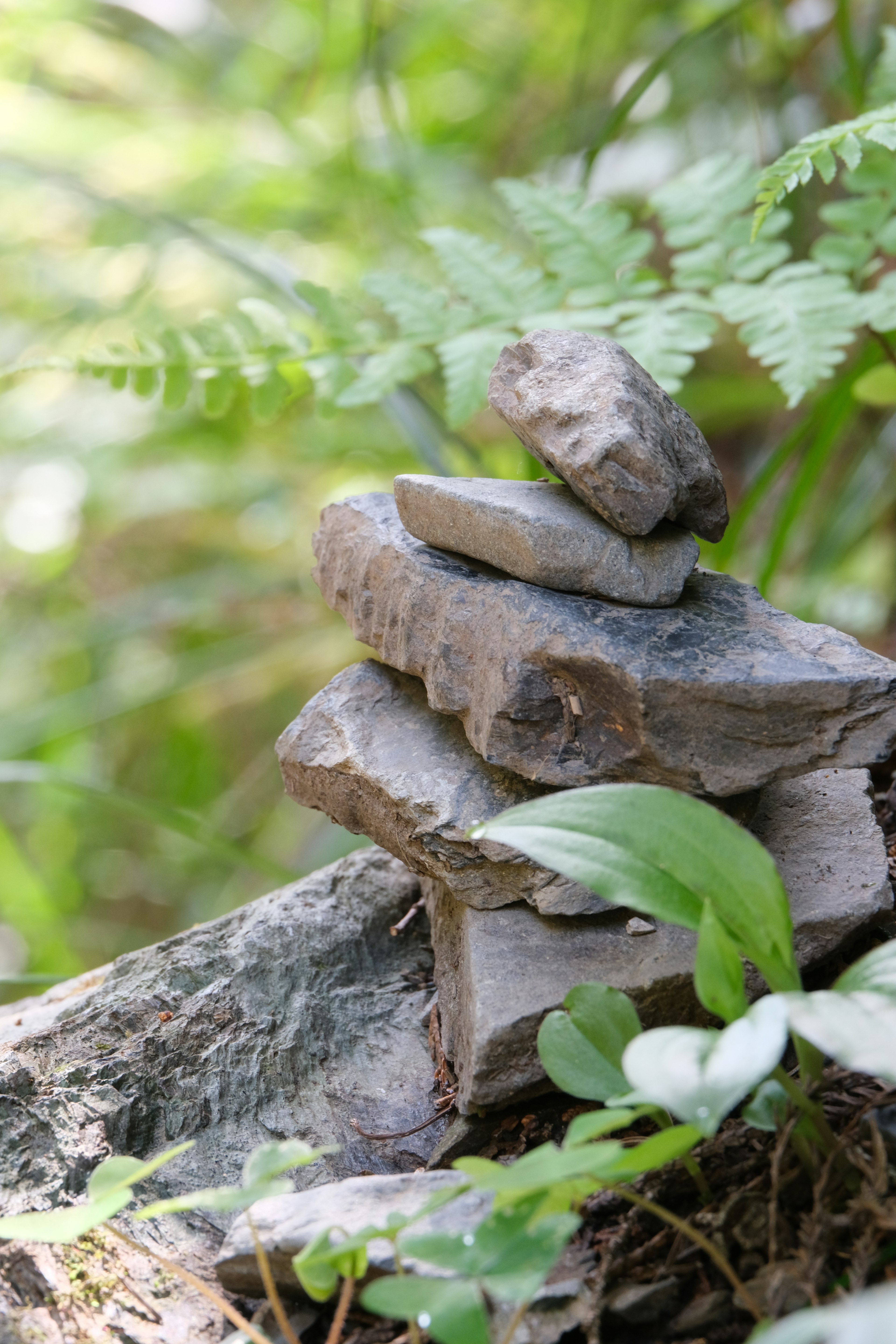 Stack of stones in a green natural setting