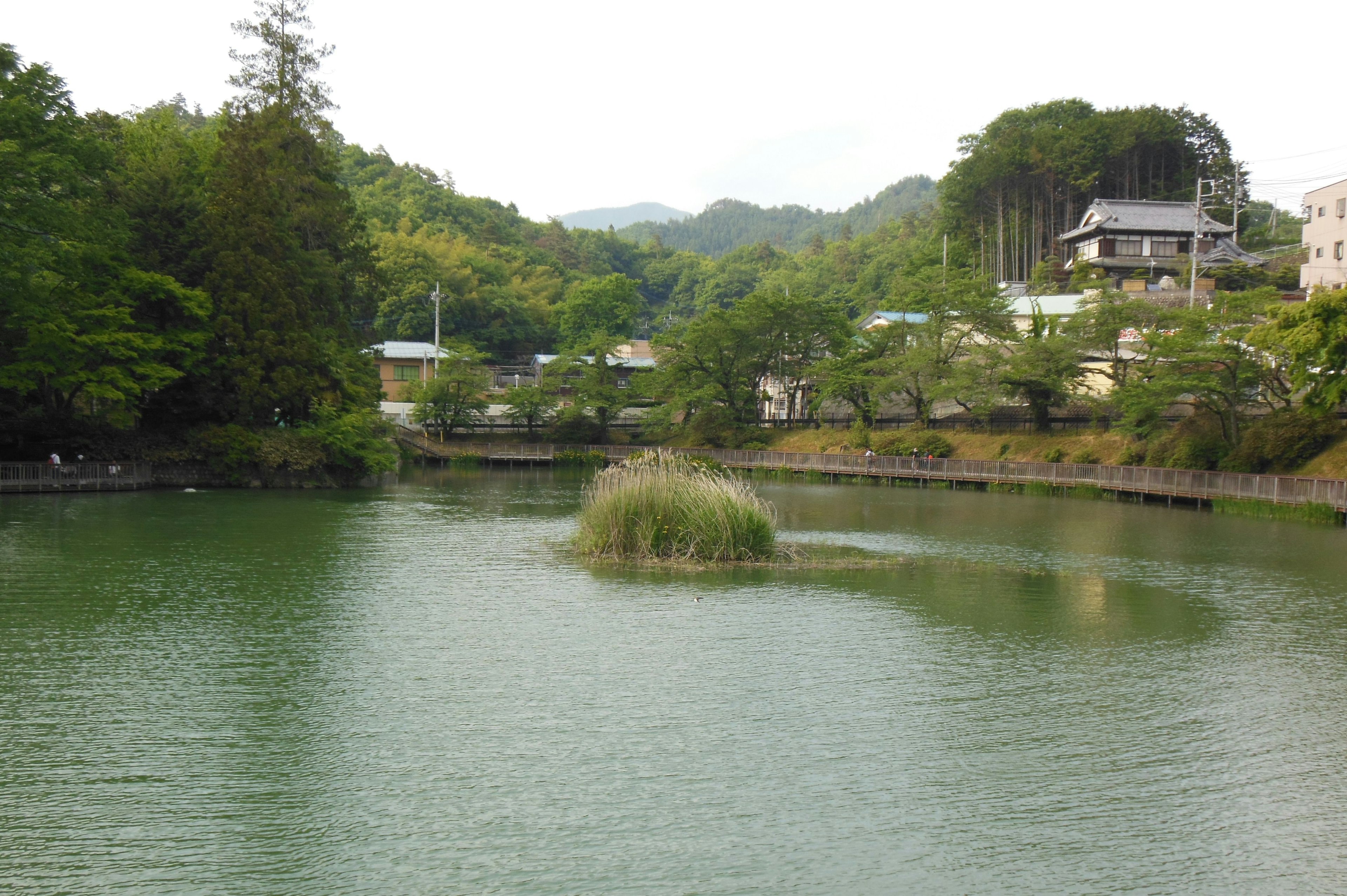 Ruhiger Teich mit einer kleinen Insel und üppigem Grün in der Umgebung