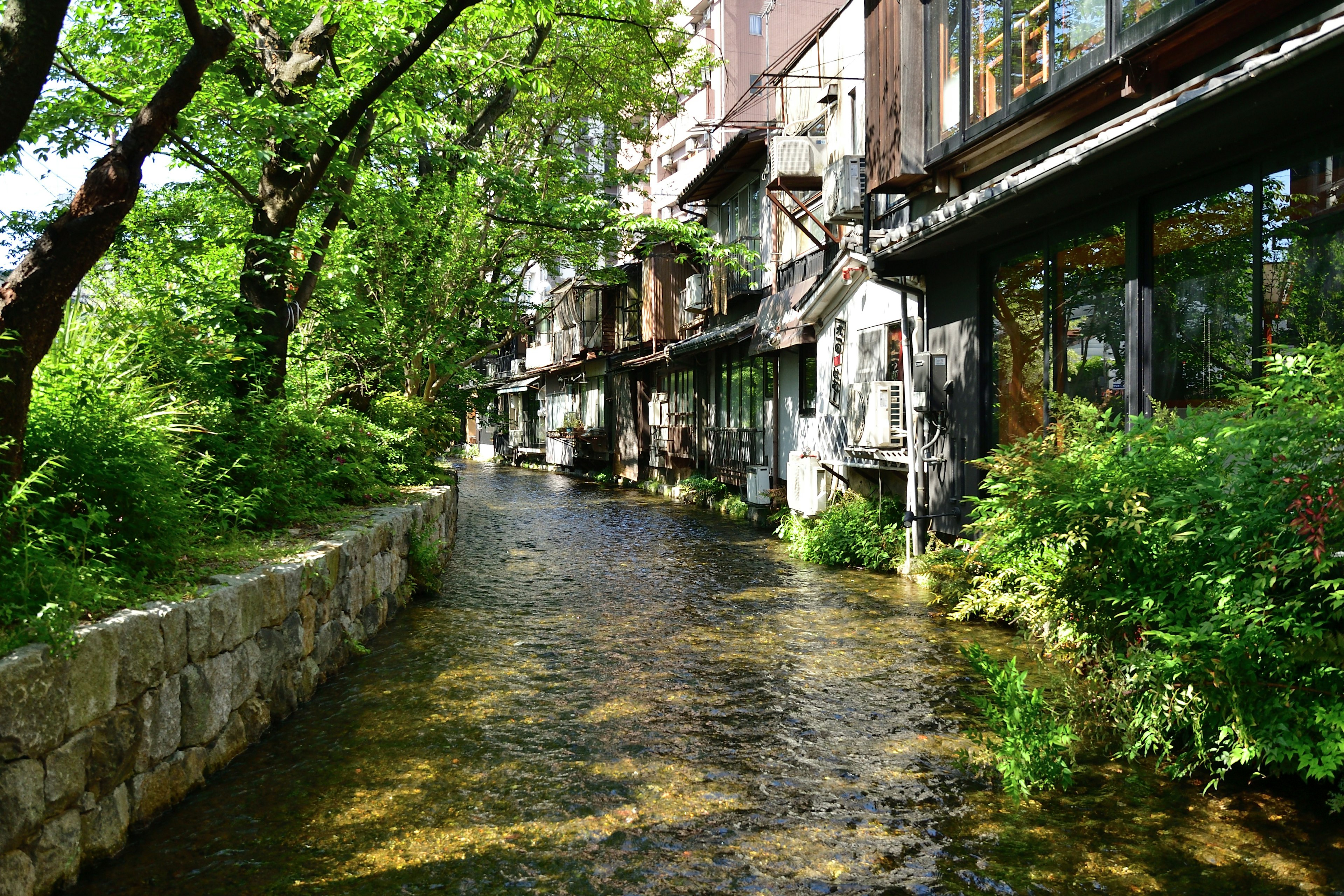 Historic buildings along a lush green river with clear water