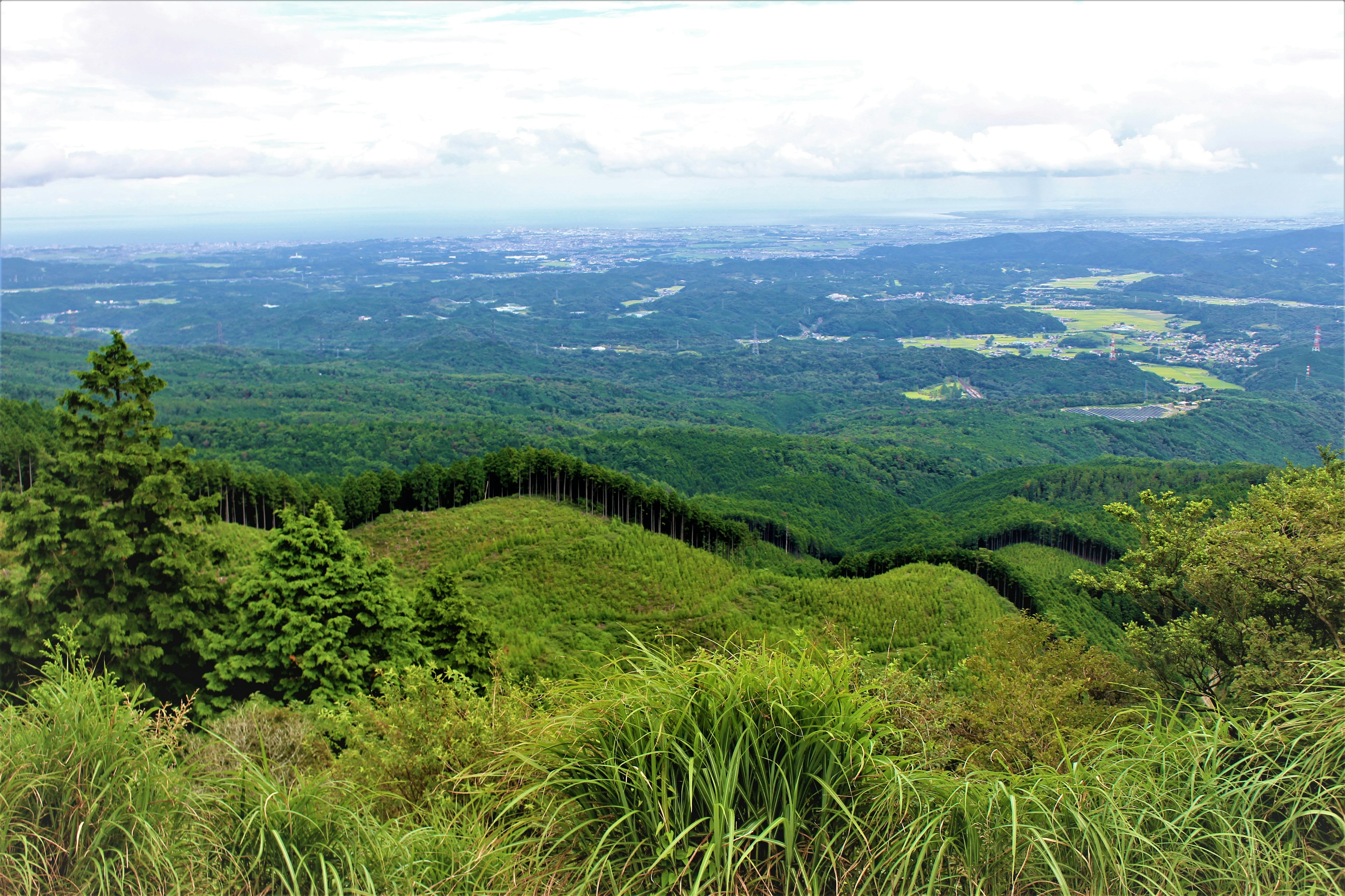 緑豊かな山々と広がる谷間の風景