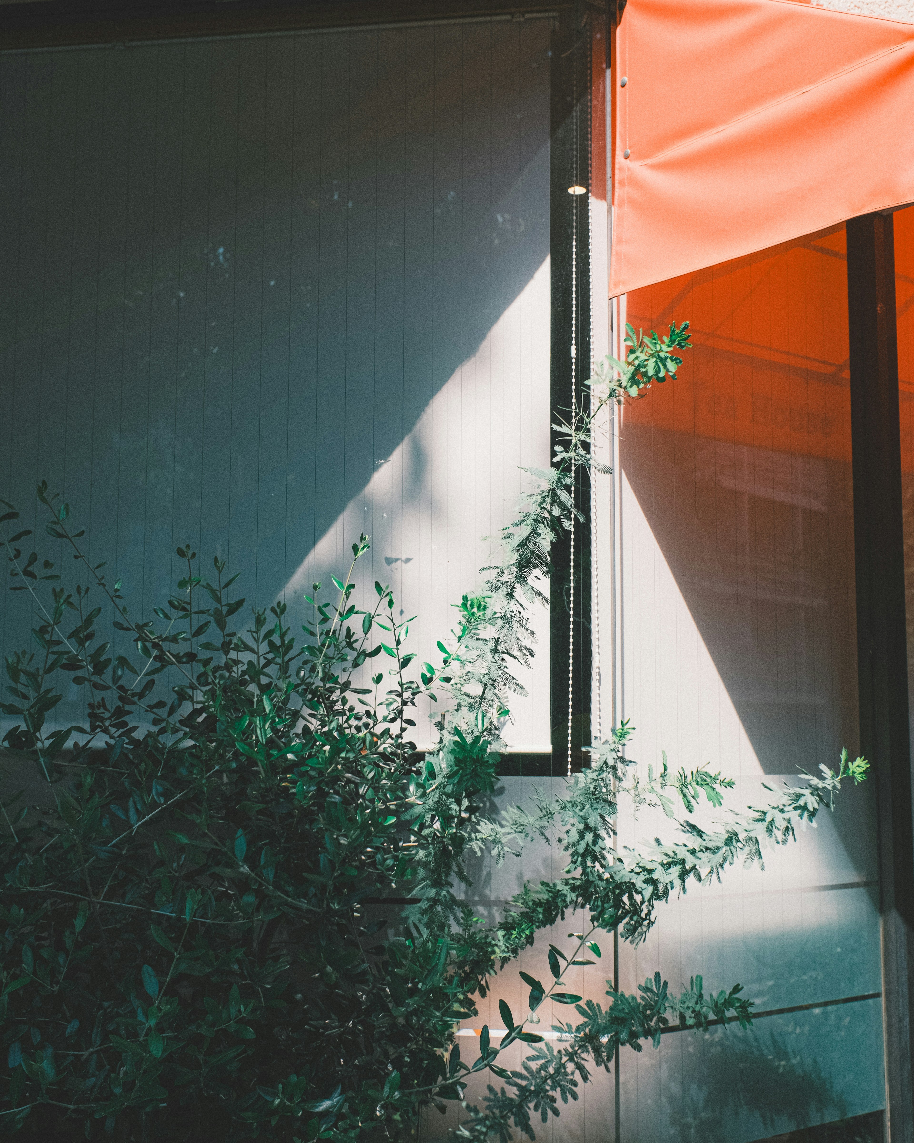 Part of an exterior wall featuring an orange tent and green plants