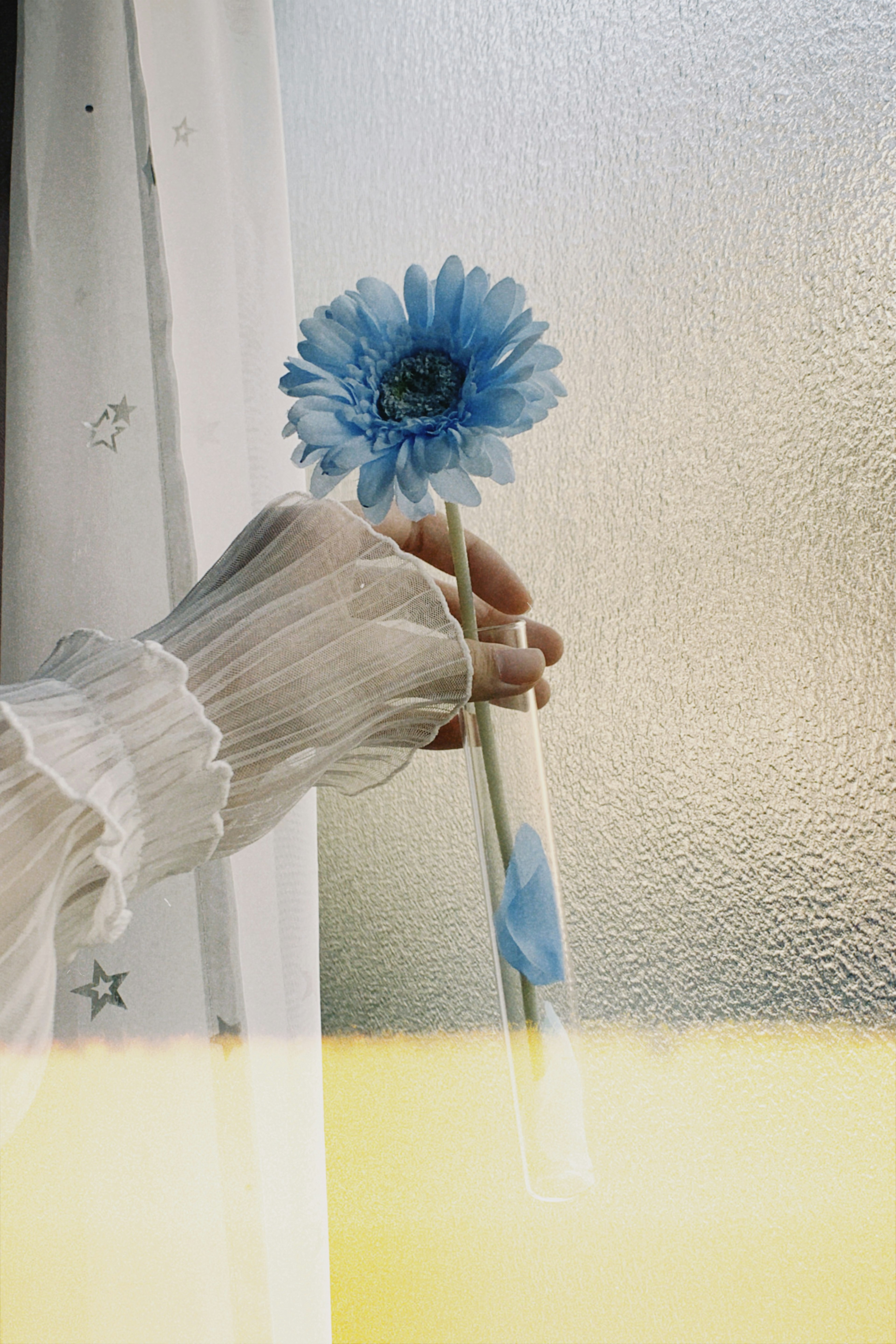 Eine Hand, die eine blaue Blume in einer Glasvase vor einem sanft beleuchteten Hintergrund mit mattiertem Glas hält