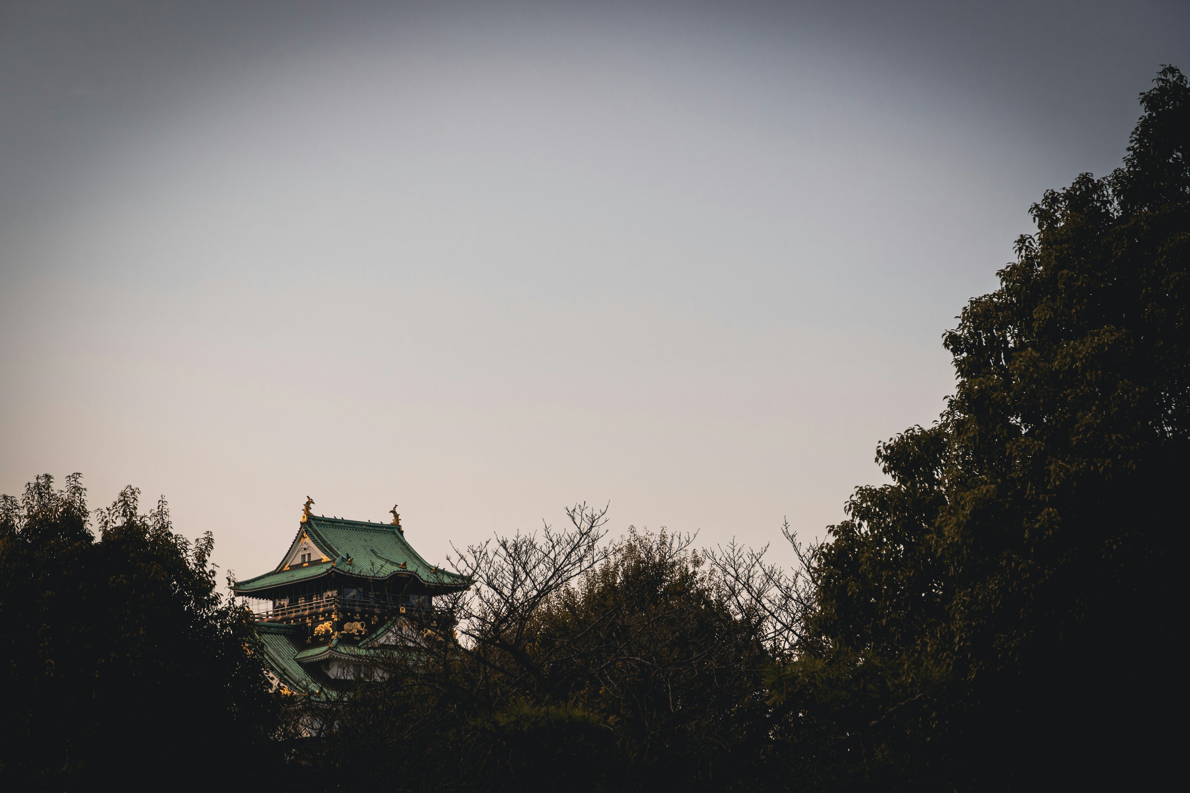 夕暮れの空の下に見える日本の伝統的な建物と木々