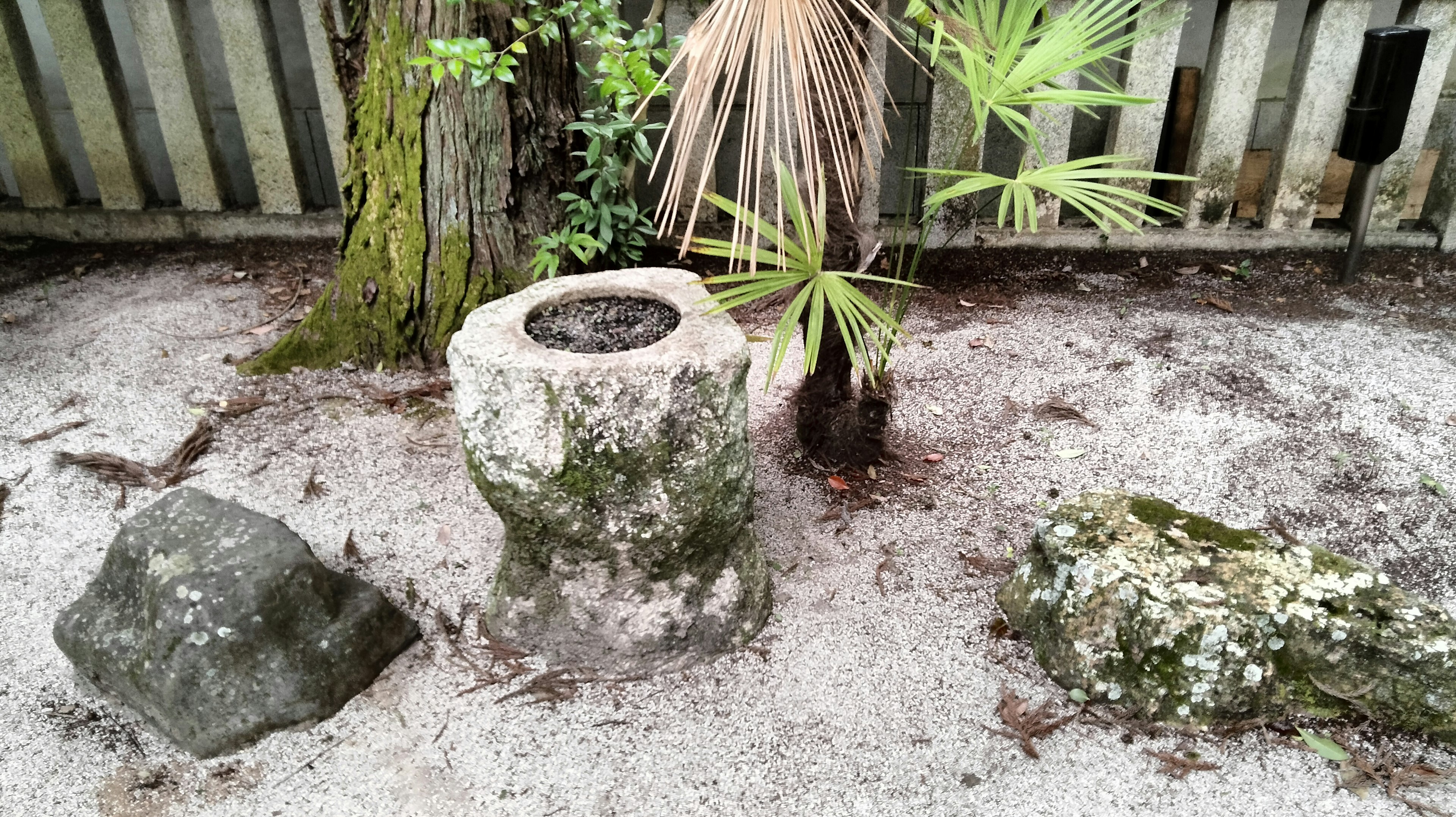 砂利の中にある石の台と植物の景観