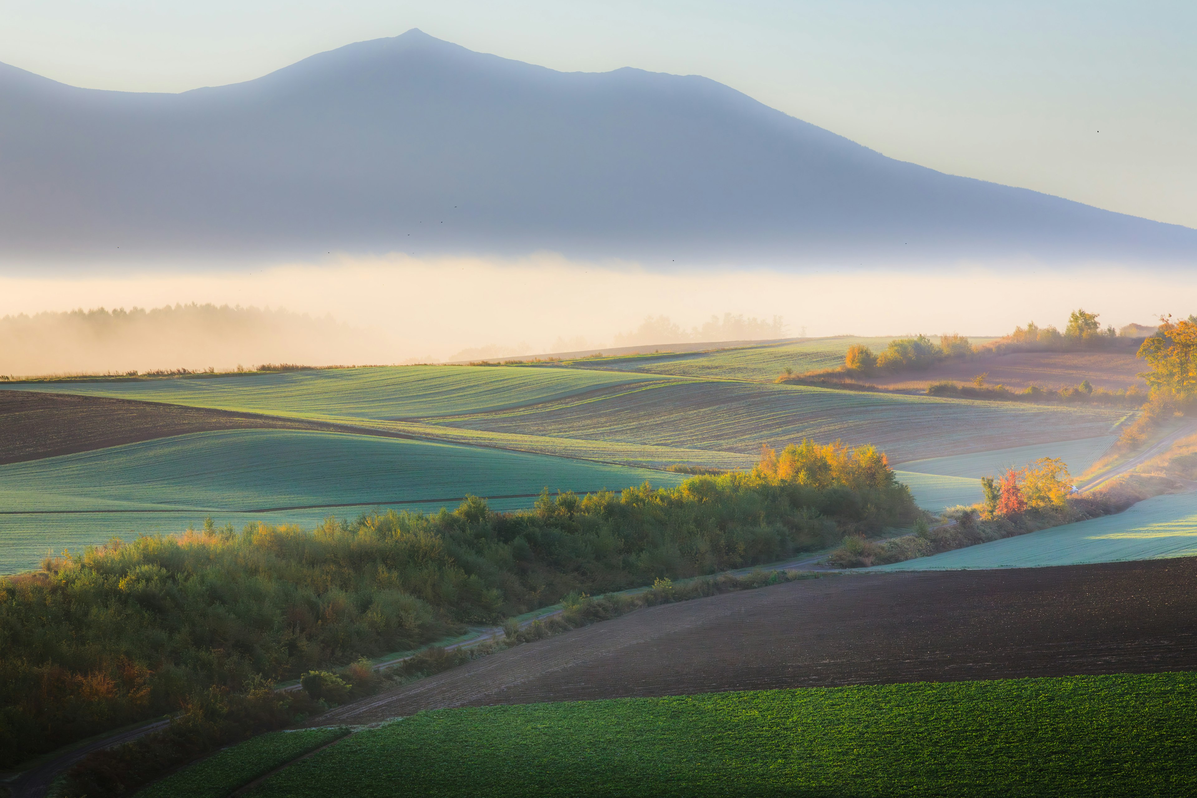 Mit Nebel bedecktes grünes Ackerland mit Bergen im Hintergrund