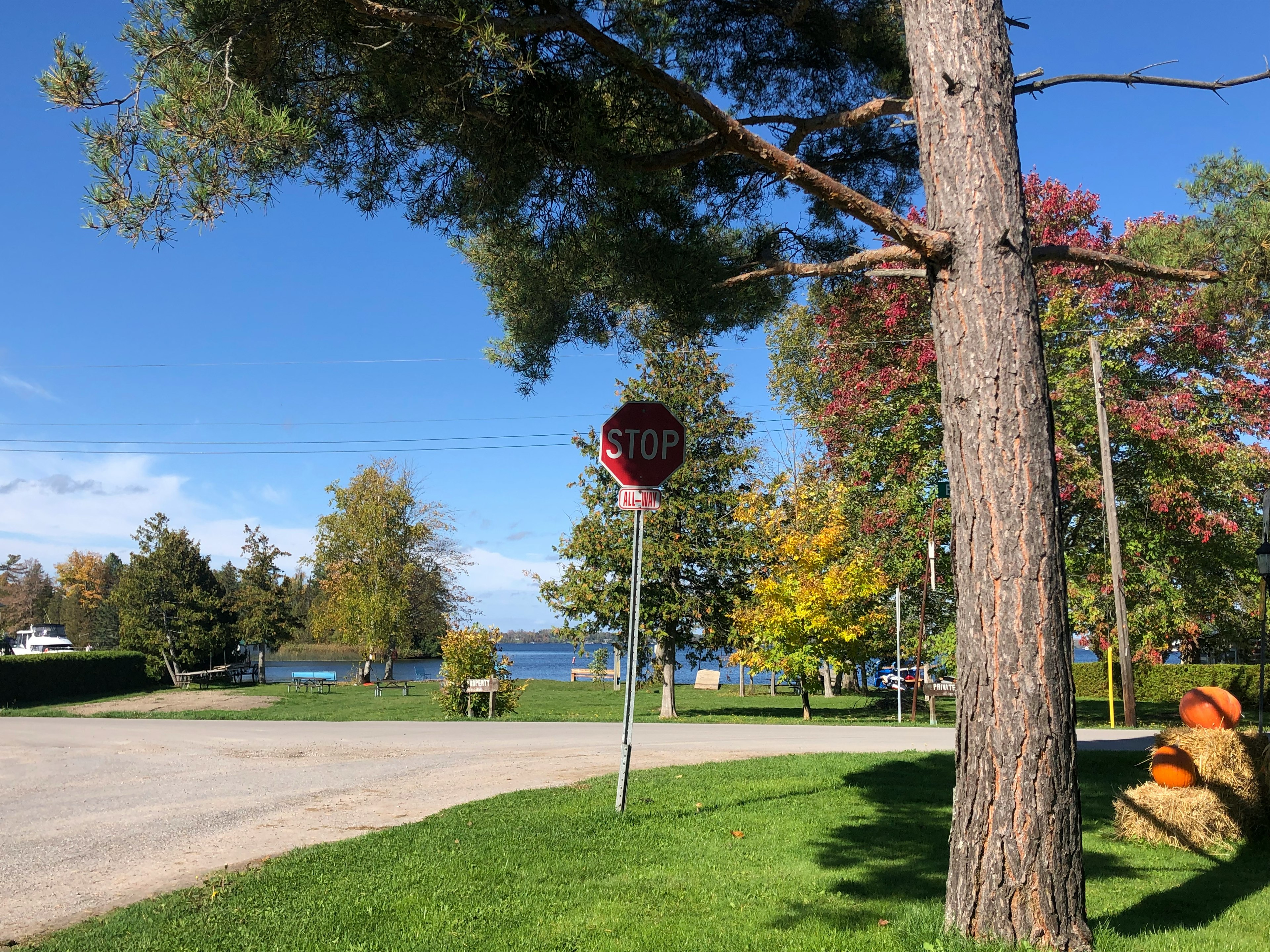 Segnale di stop in un parco pittoresco con alberi autunnali colorati e cielo blu