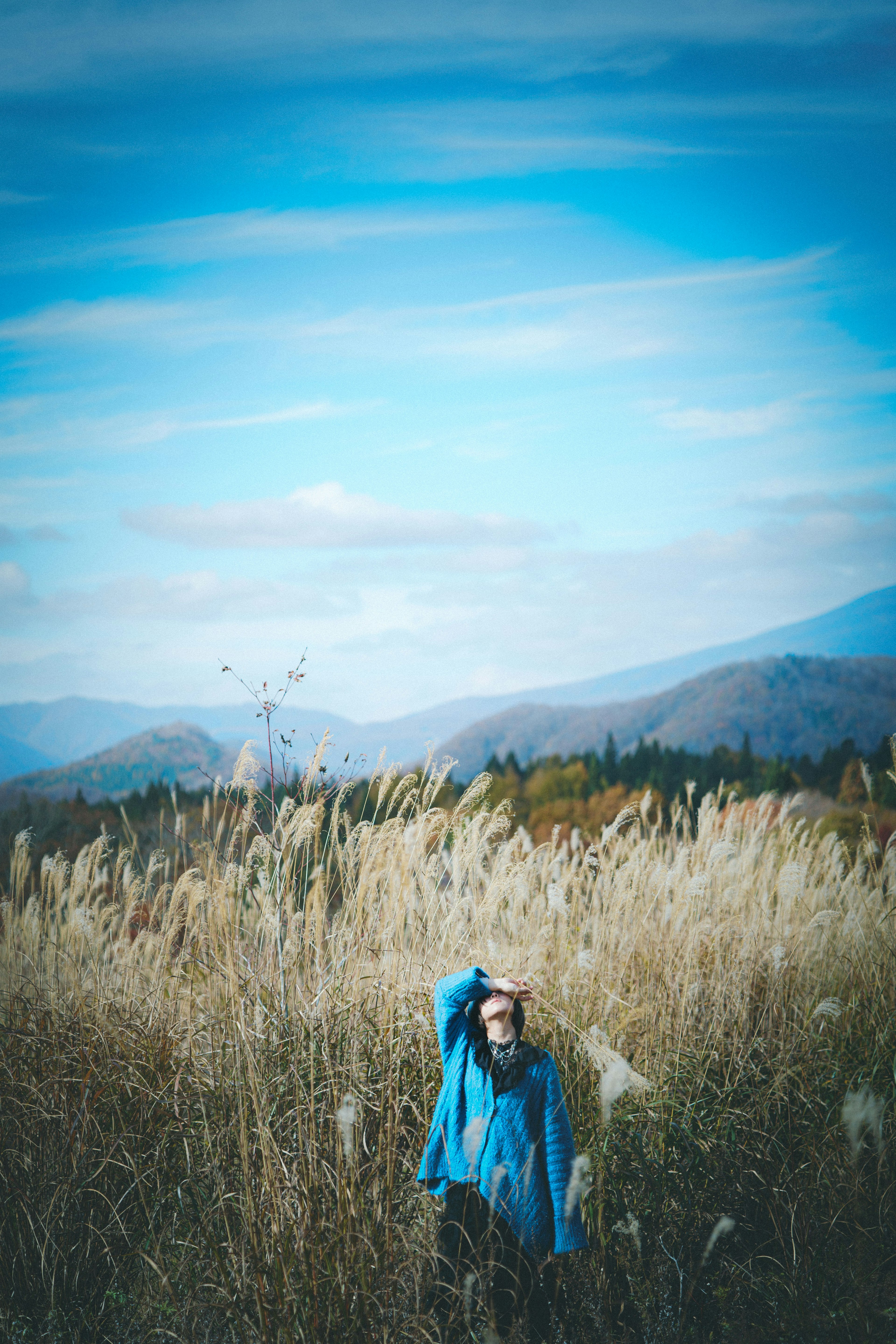 Una donna in un cappotto blu che sta in un campo erboso