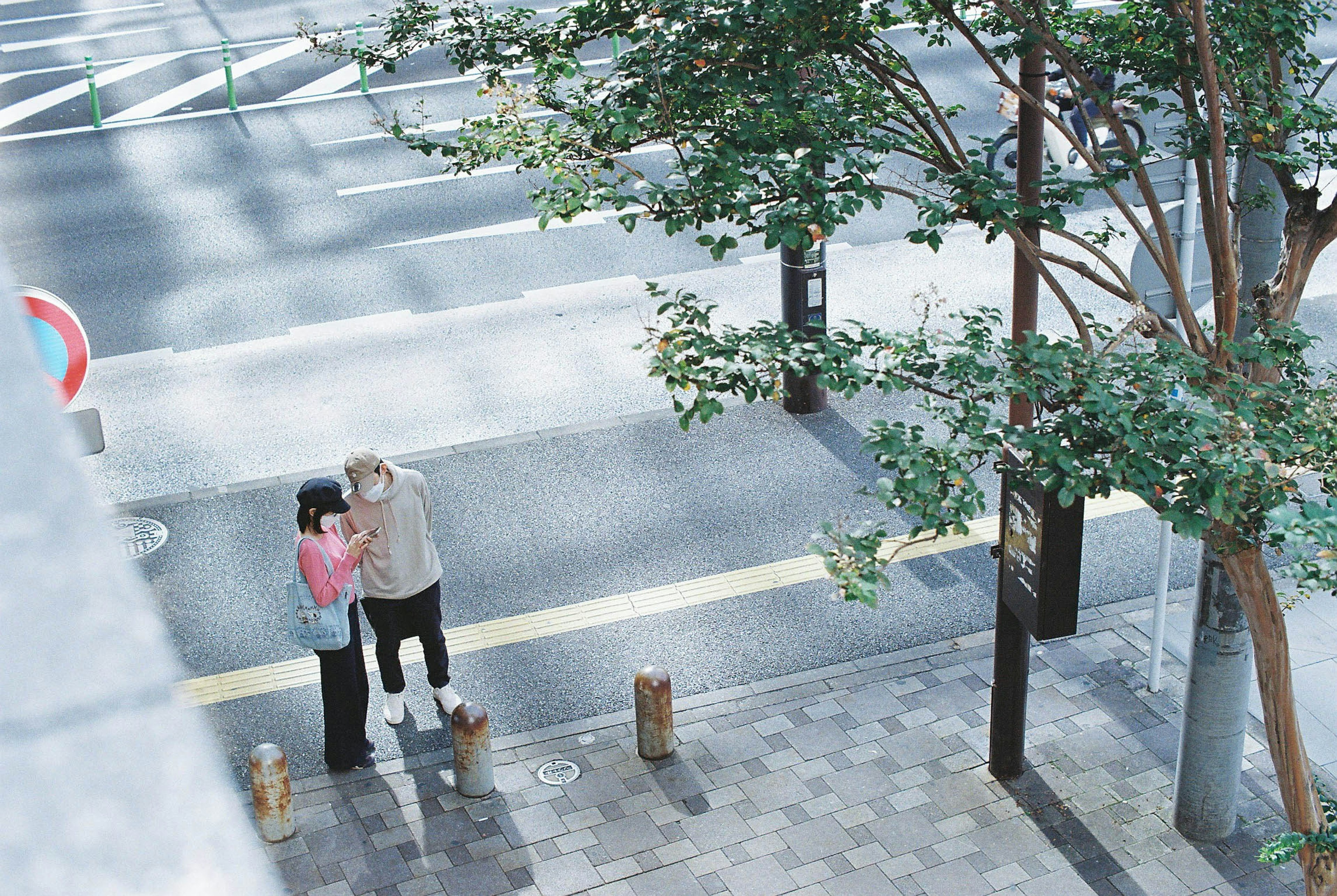 Couple embracing on a street corner with green trees