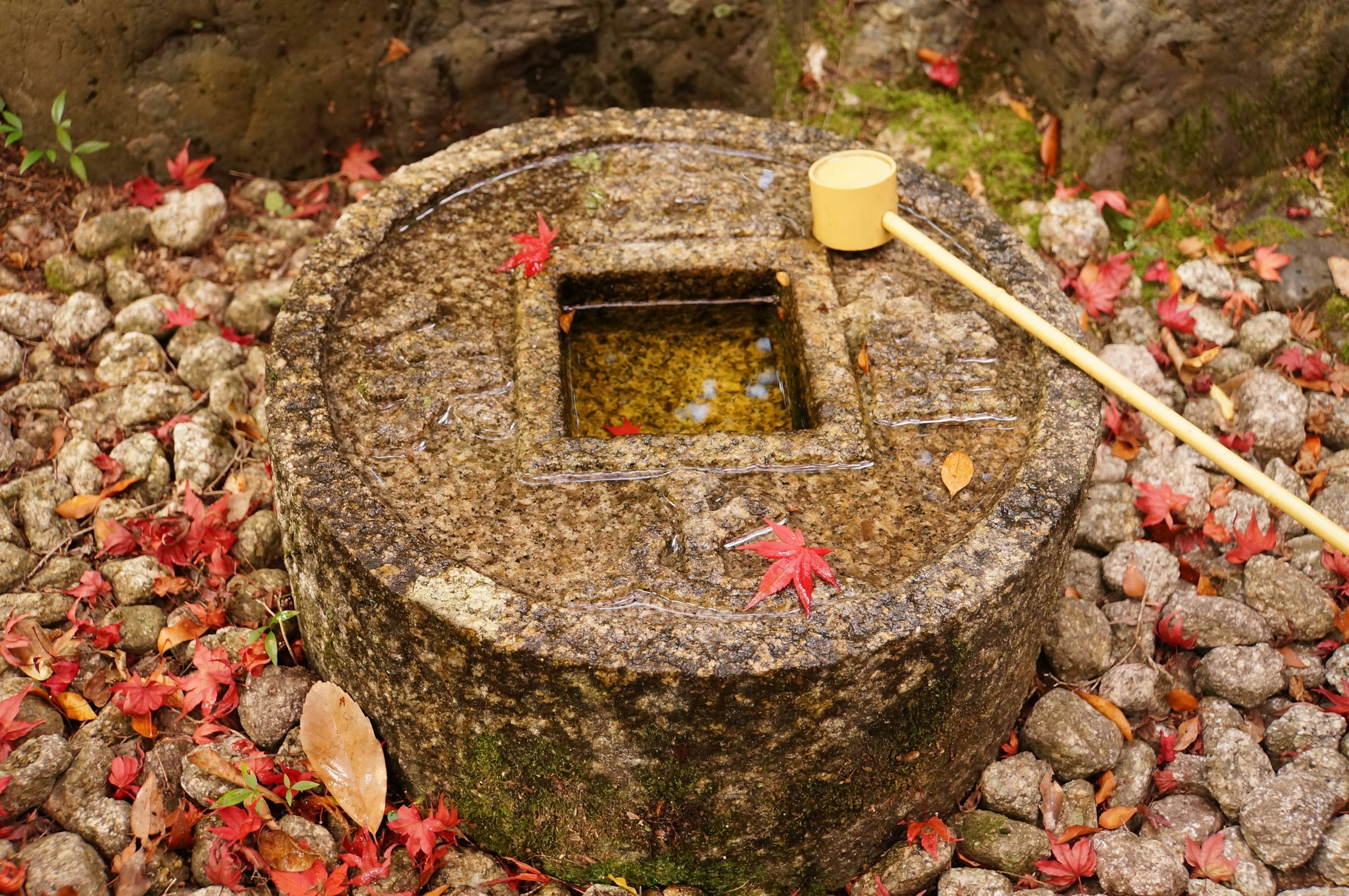 Stone water basin surrounded by autumn leaves