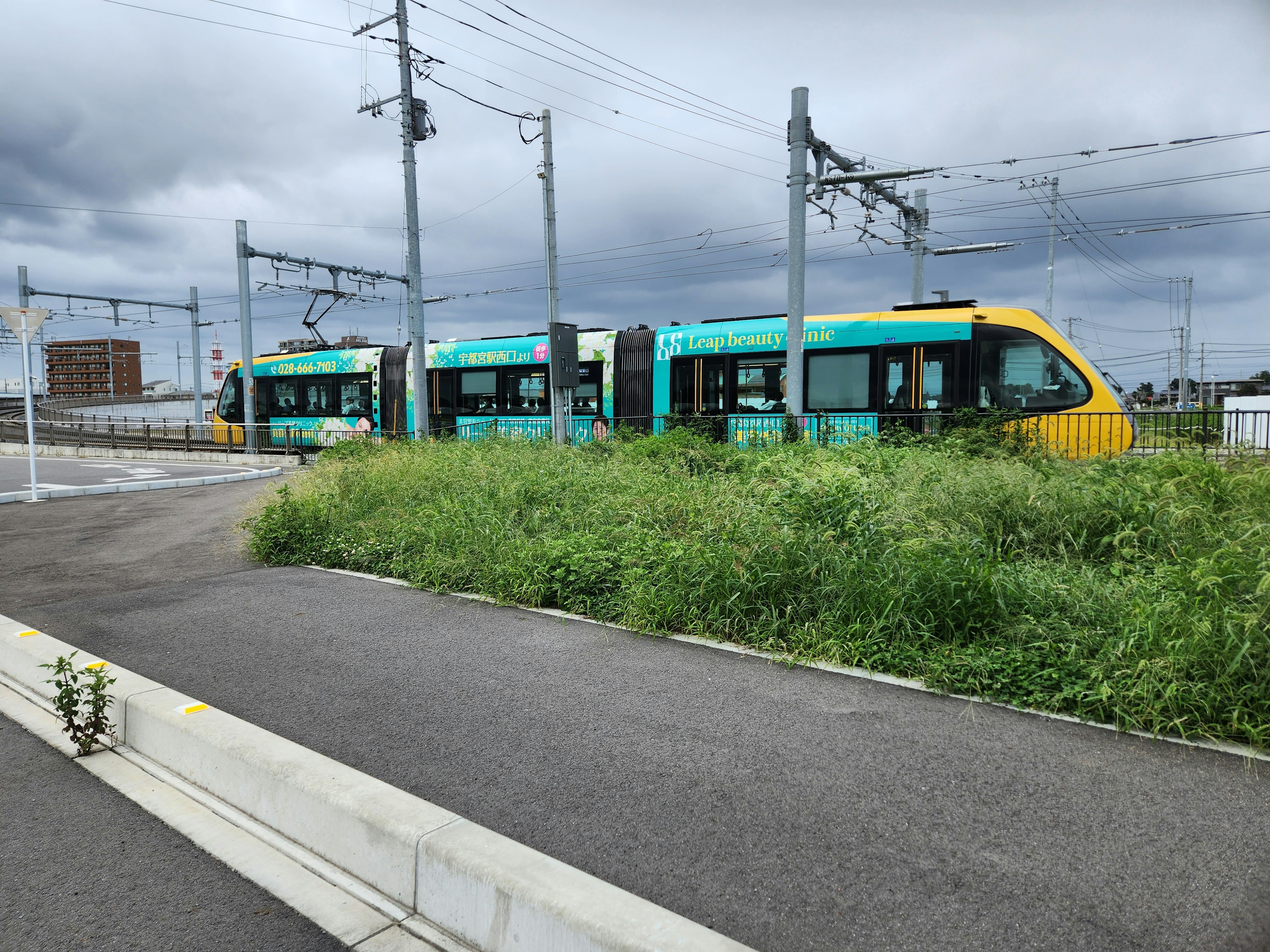 Tren ligero verde y amarillo pasando por pasto alto