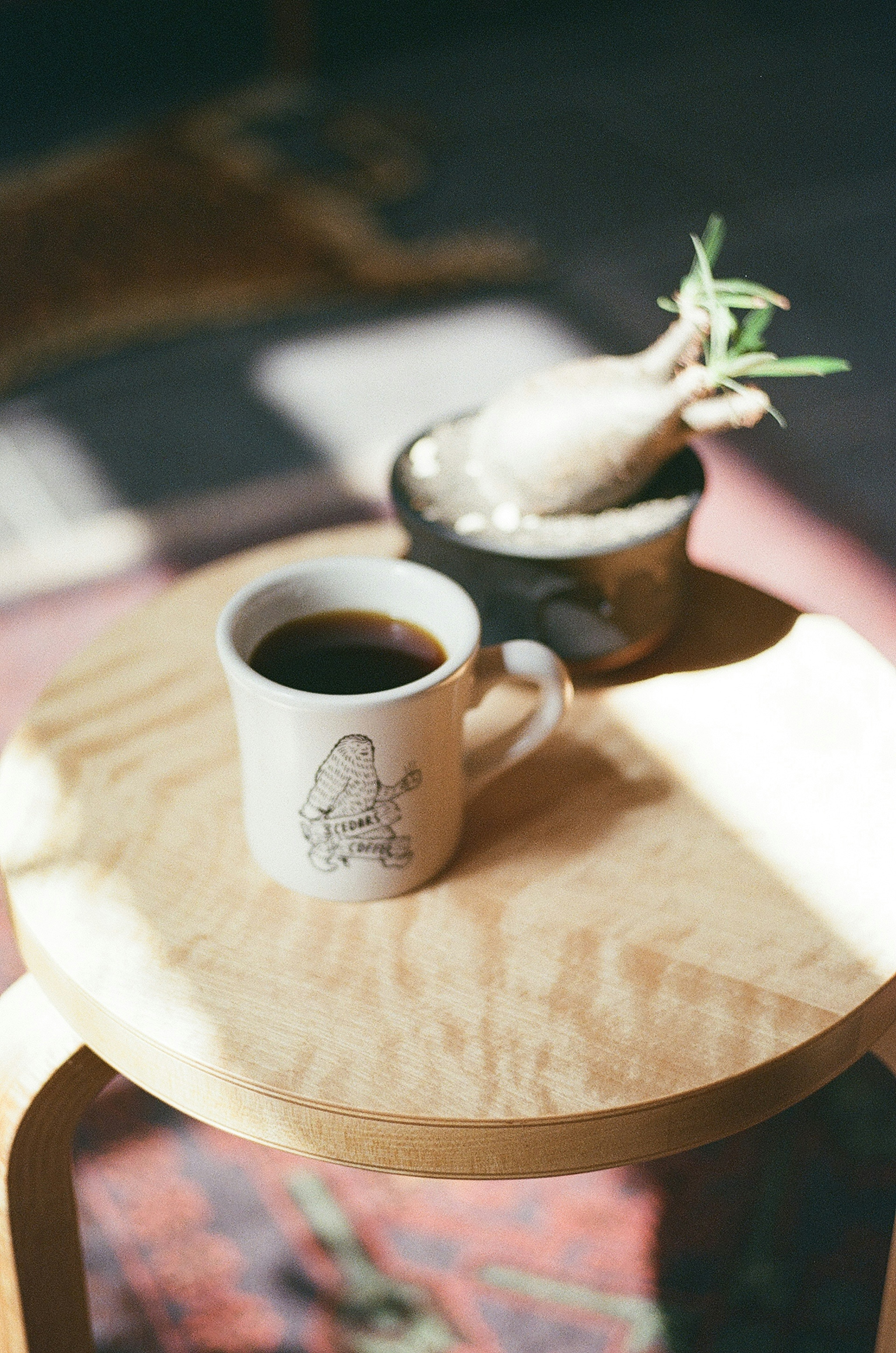 A coffee cup and a potted plant on a wooden table