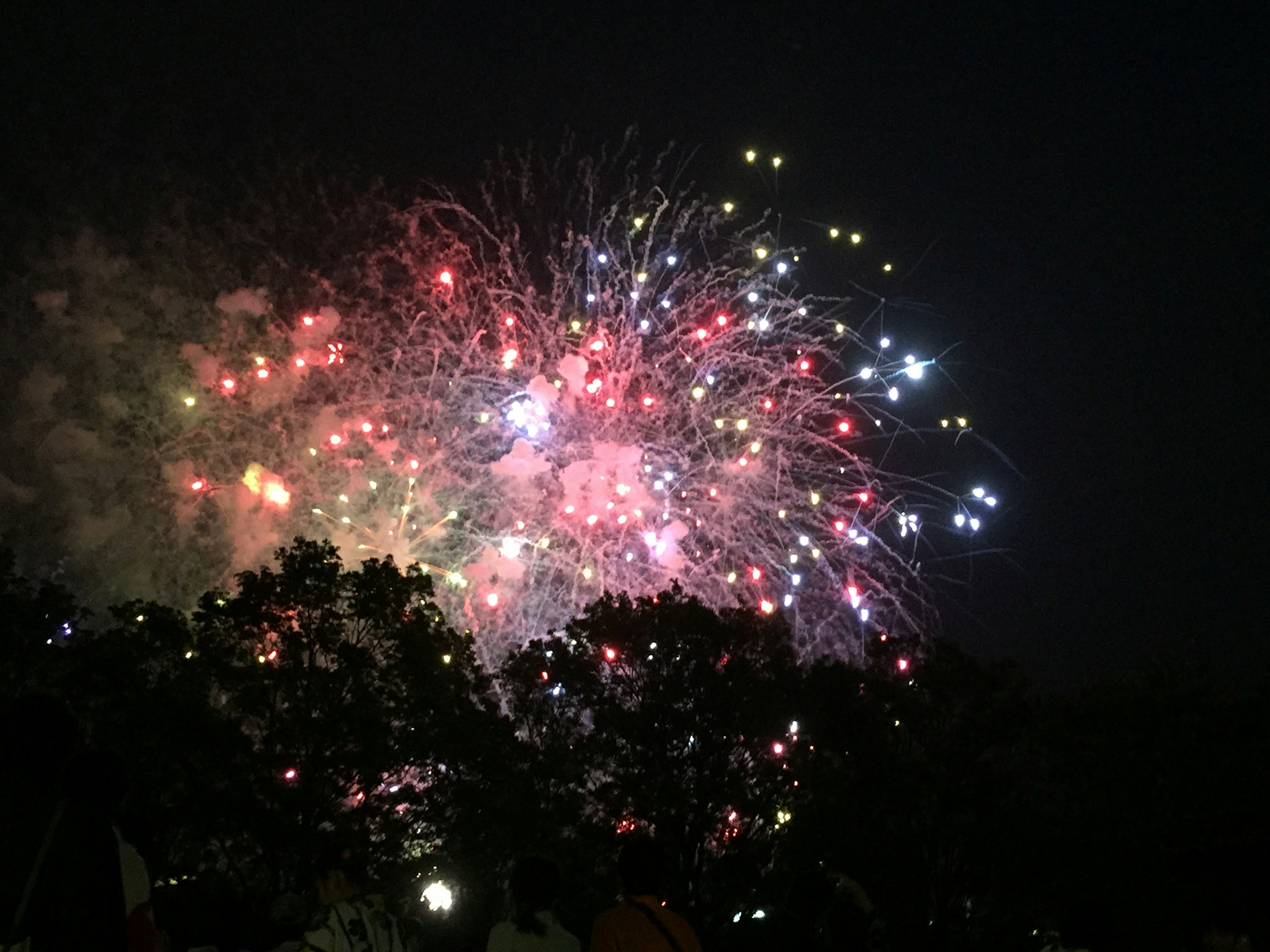 Spettacolo di fuochi d'artificio colorati che illuminano il cielo notturno