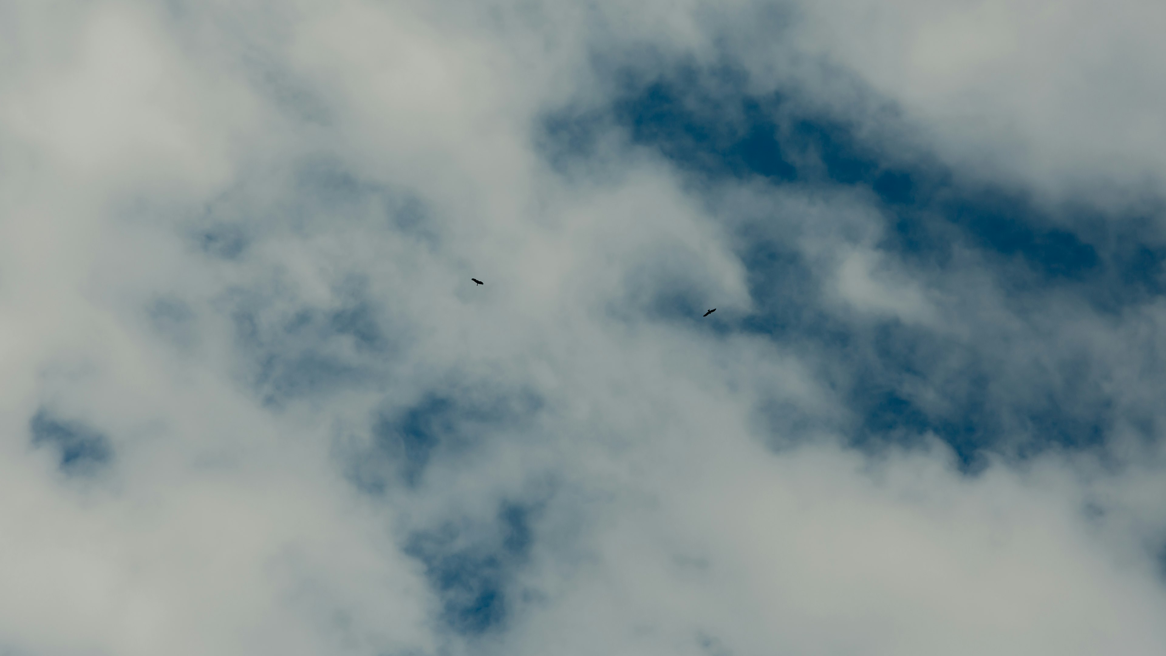 A view of blue sky with white clouds