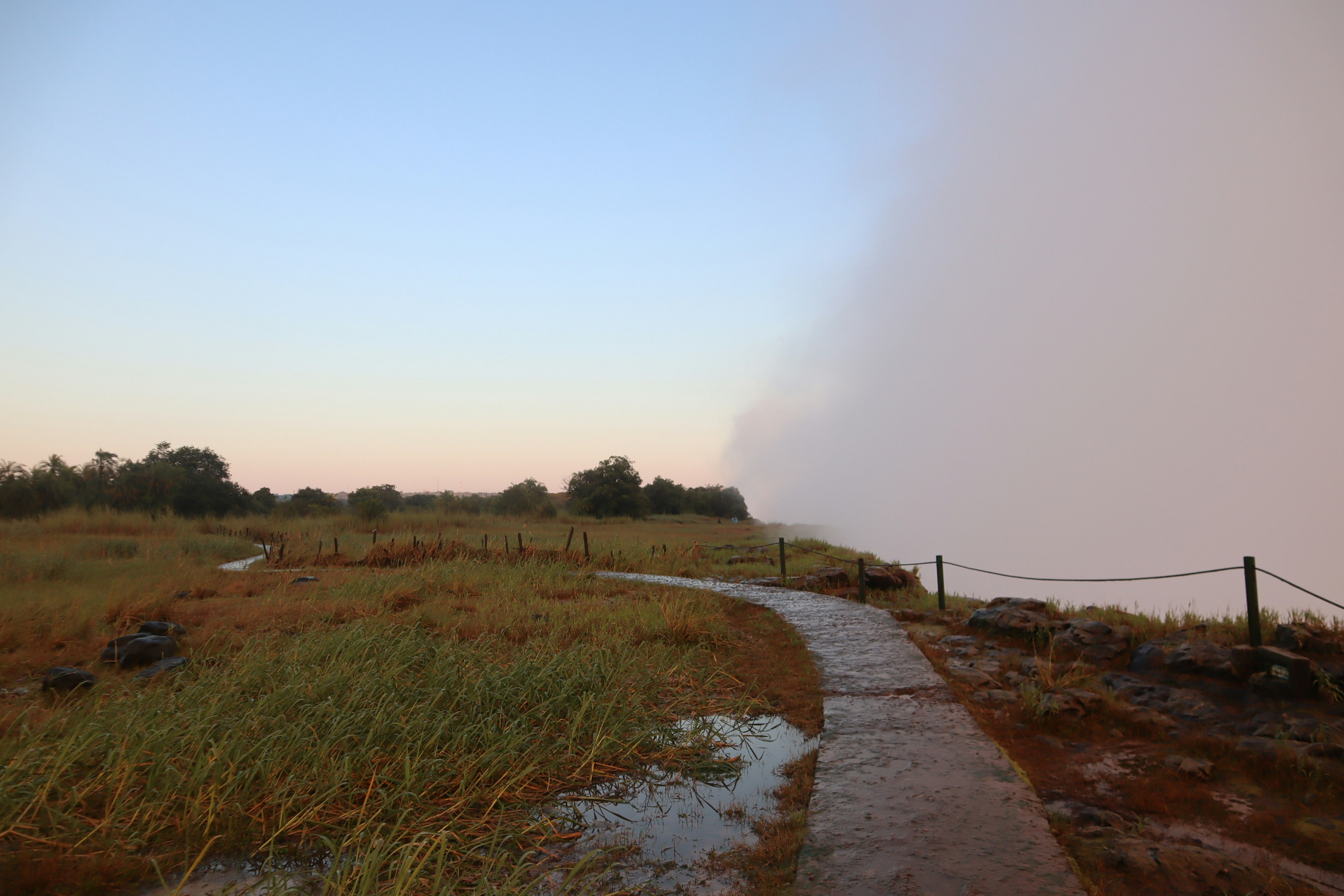 Chemin à travers le brouillard avec un paysage herbeux