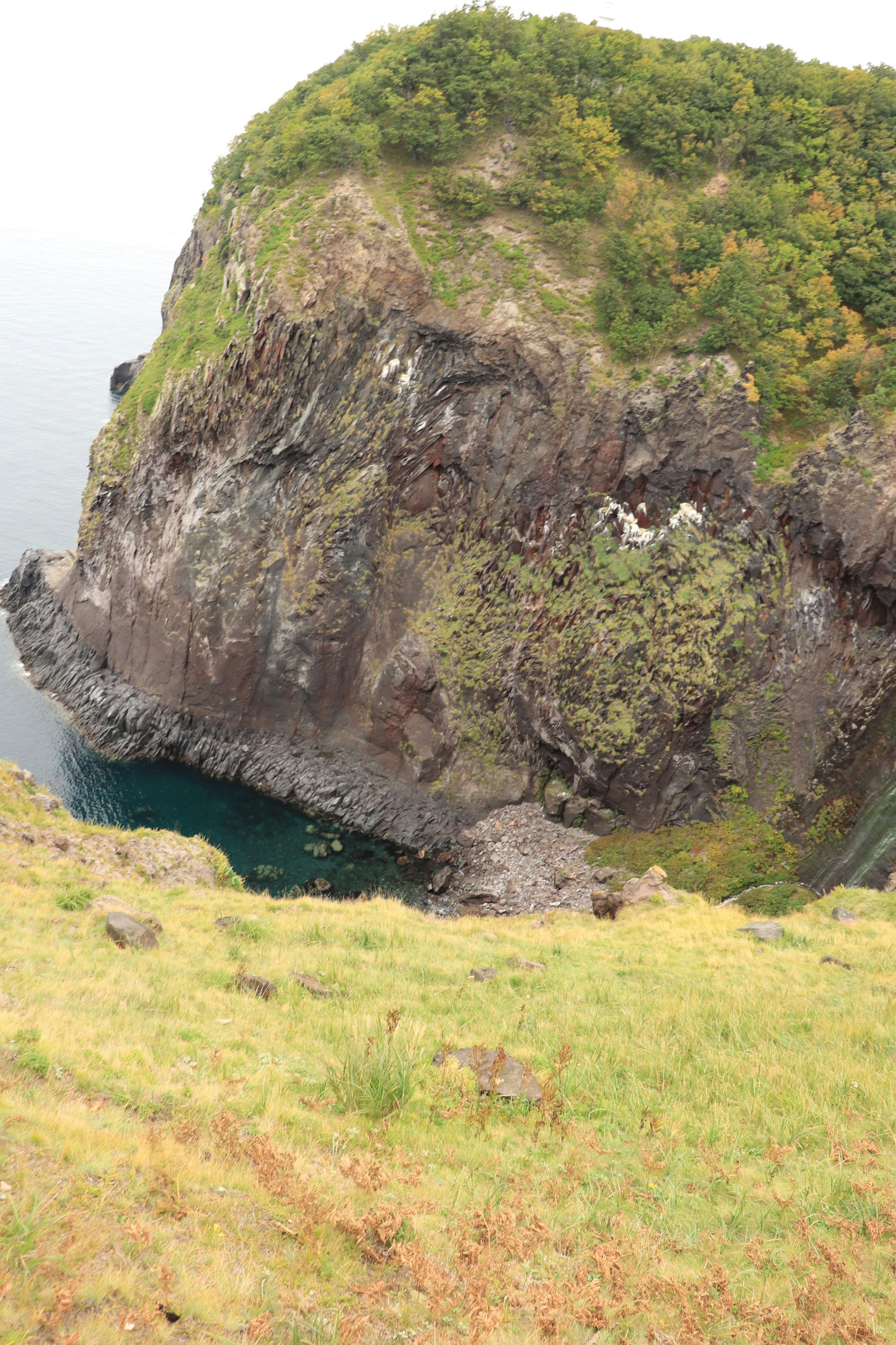 Acantilado cubierto de vegetación verde con vista al mar