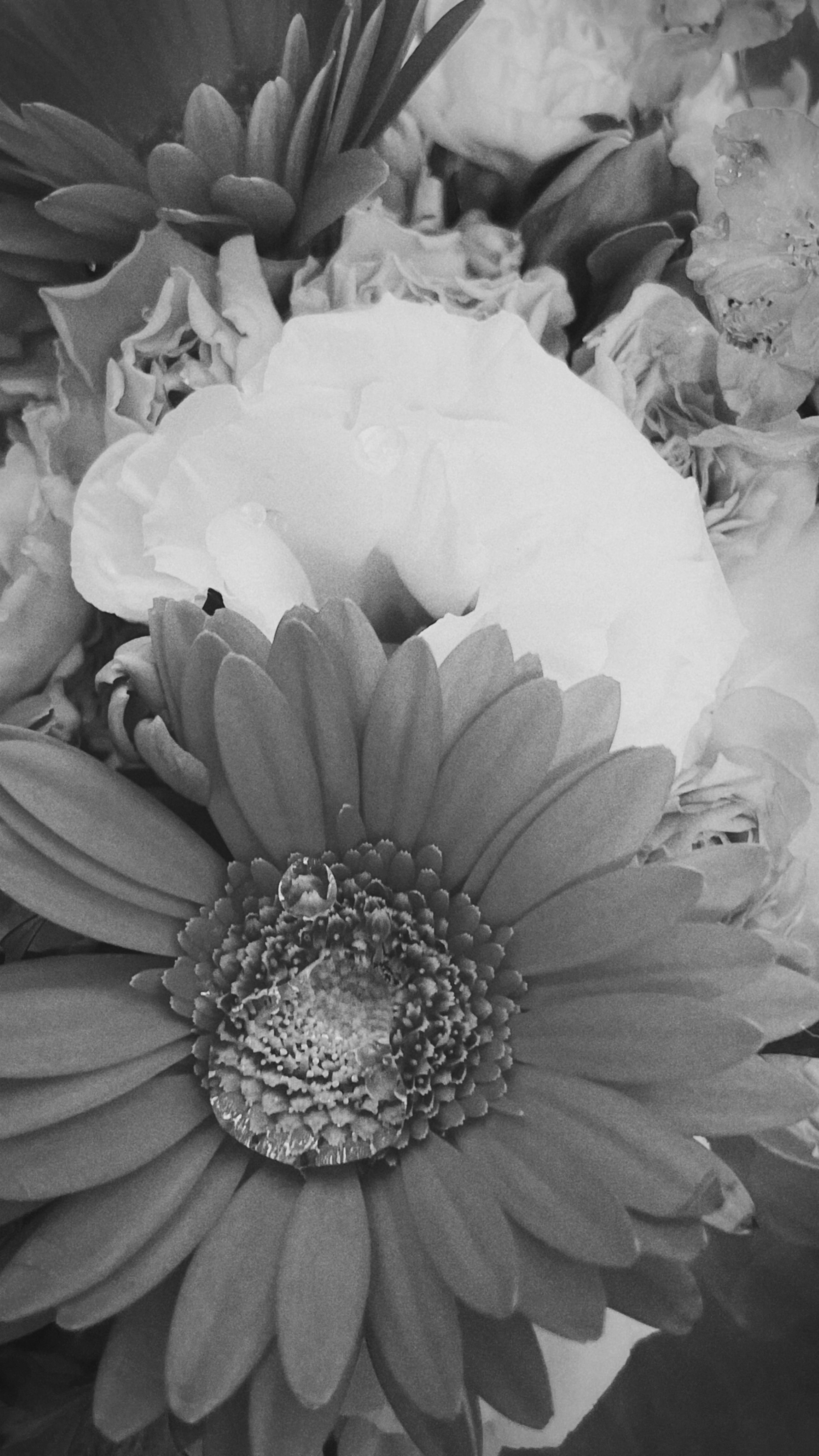 Black and white bouquet featuring a white flower and an orange gerbera daisy