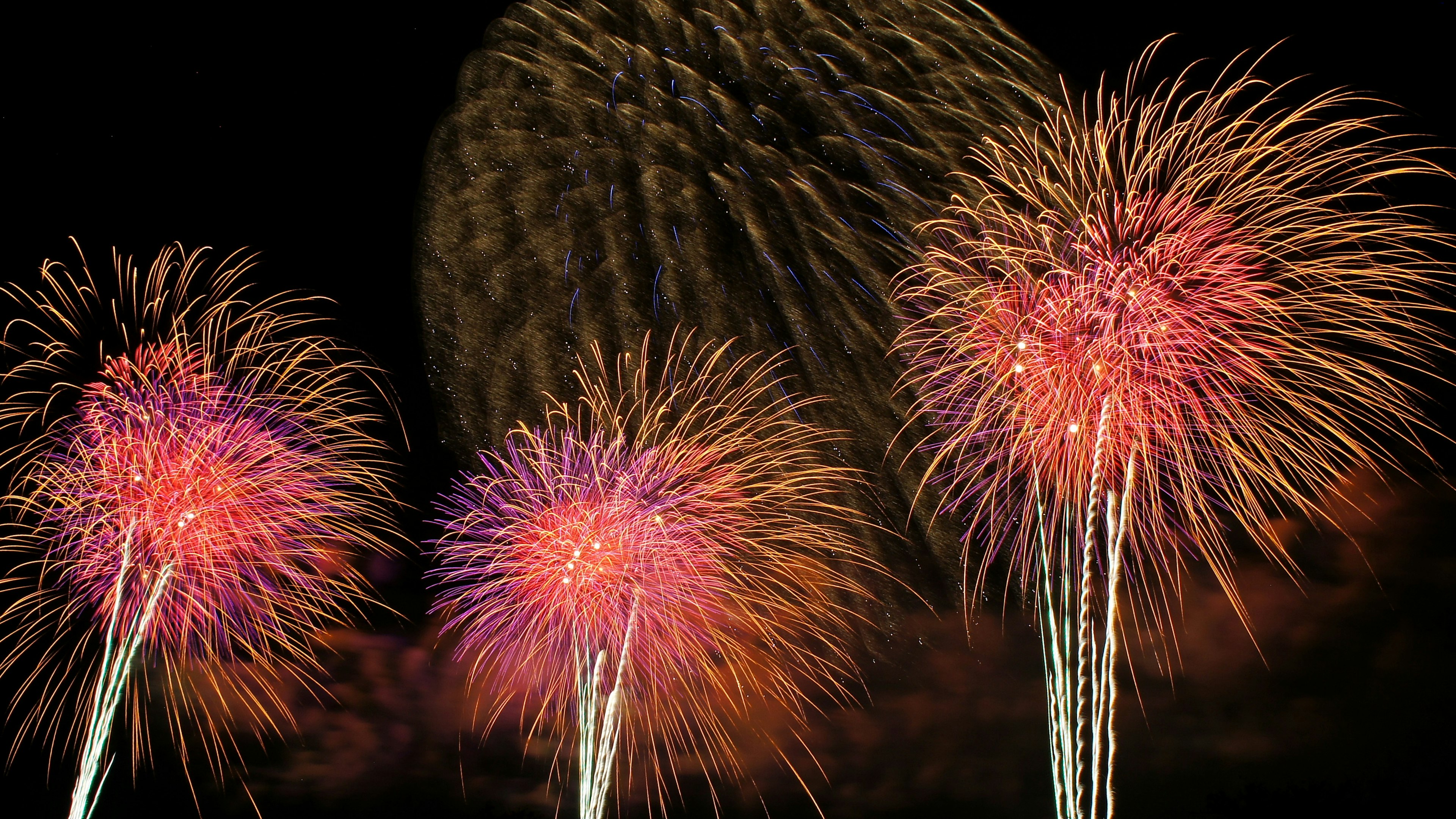 五彩缤纷的烟花在夜空中绽放