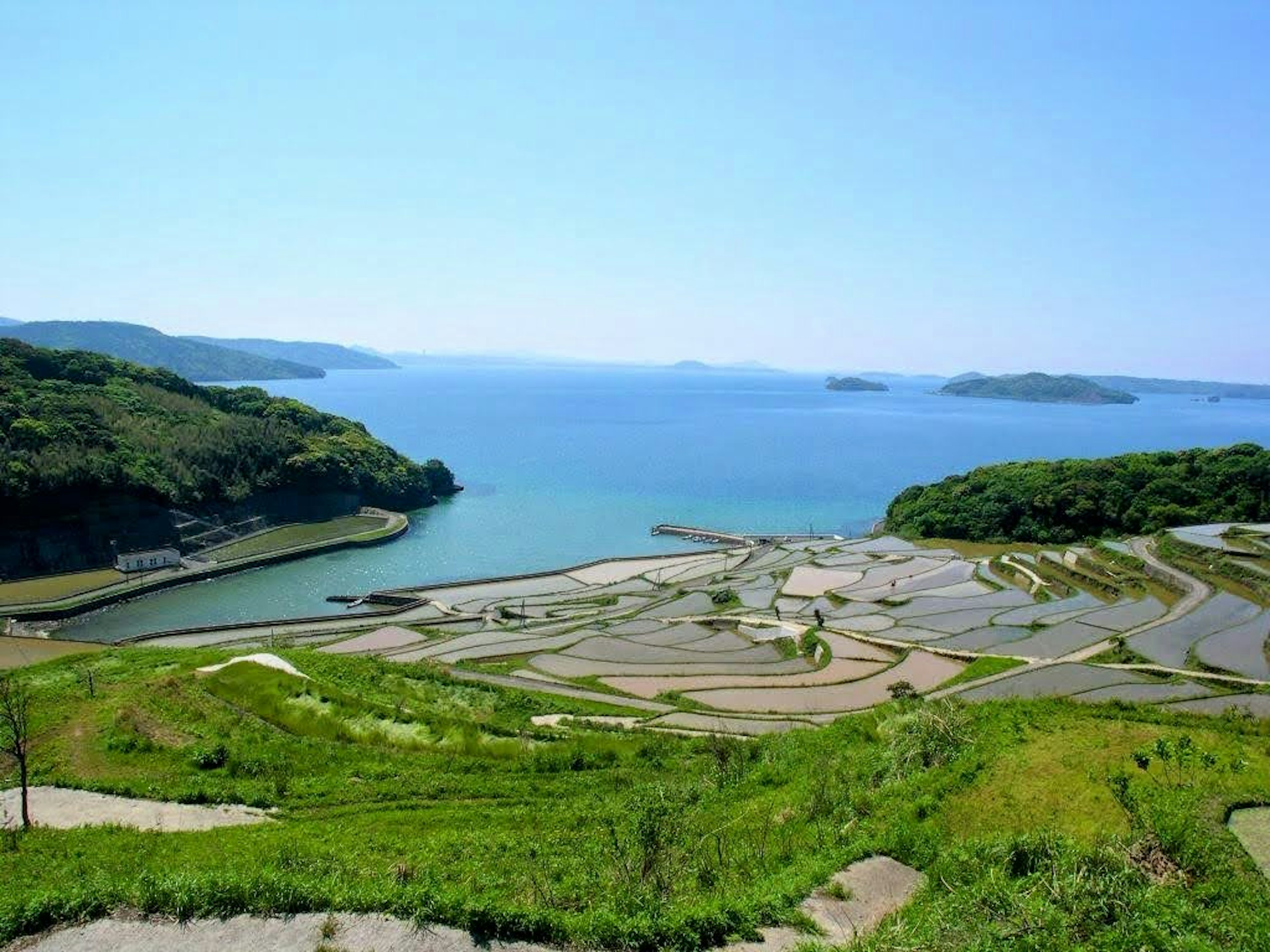 Terrasses de riz verdoyantes et vue sur l'océan sous un ciel bleu clair