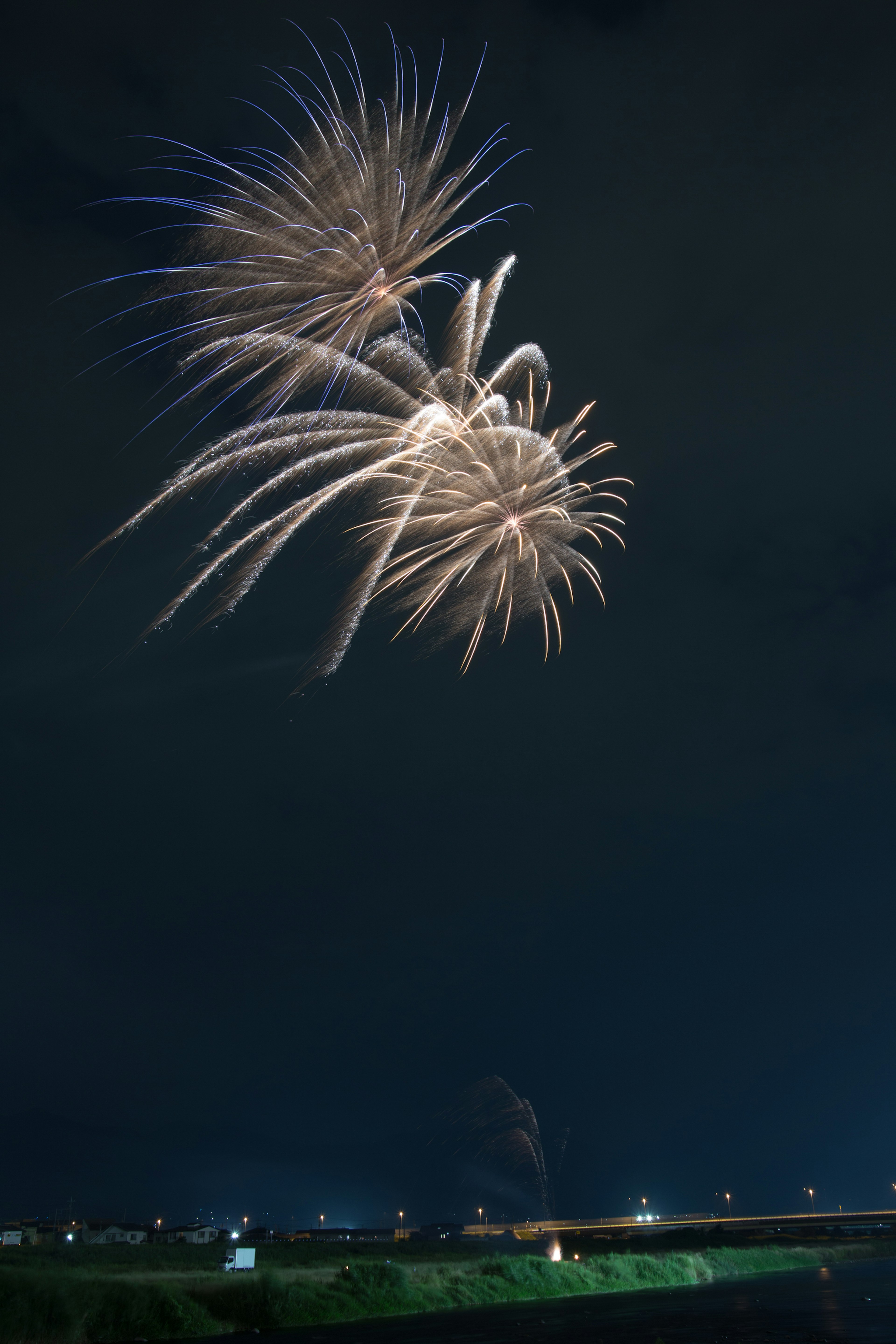 Beautiful shot of fireworks blooming in the night sky