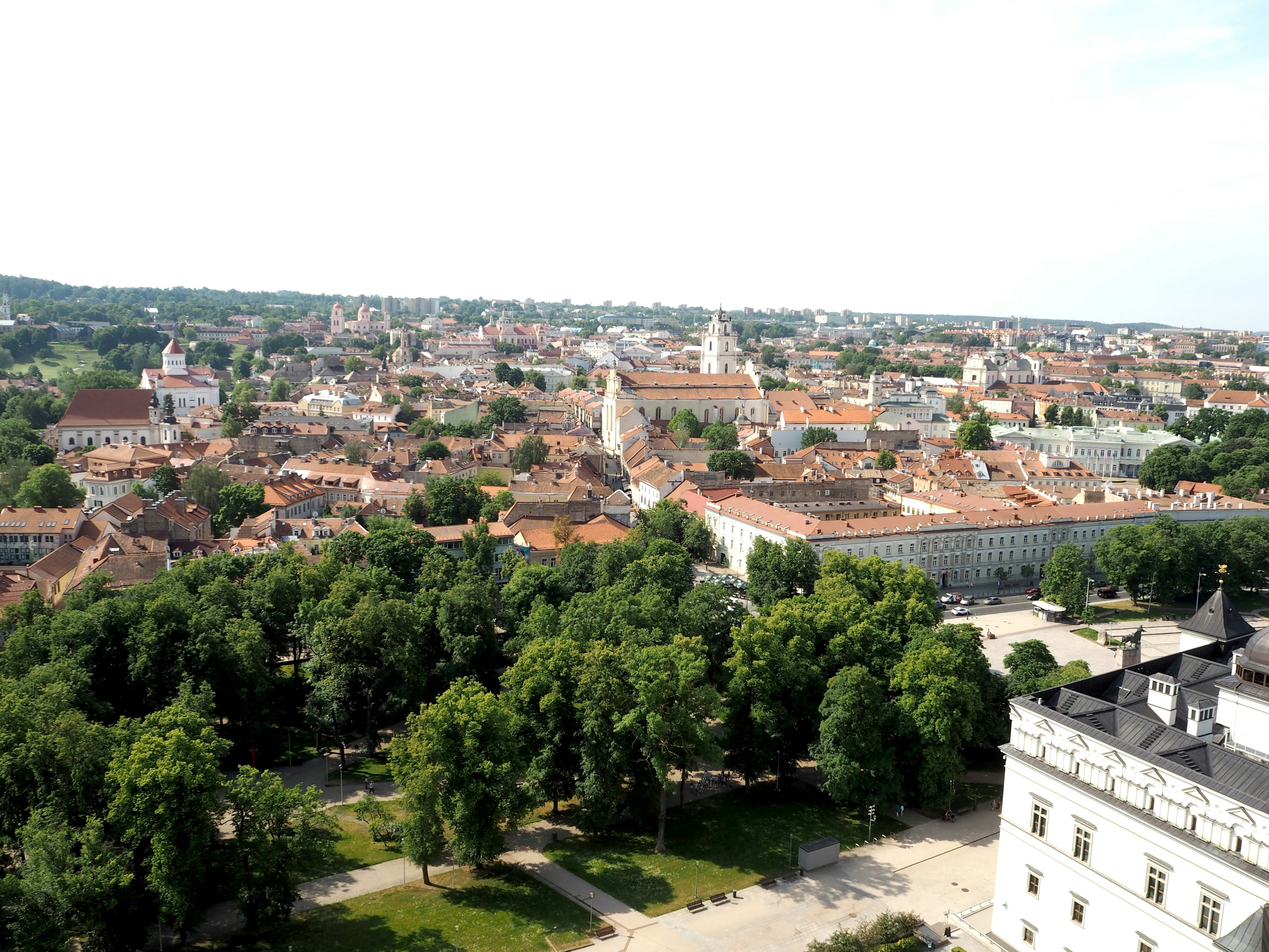 Vista panorámica de una ciudad con árboles verdes y techos rojos