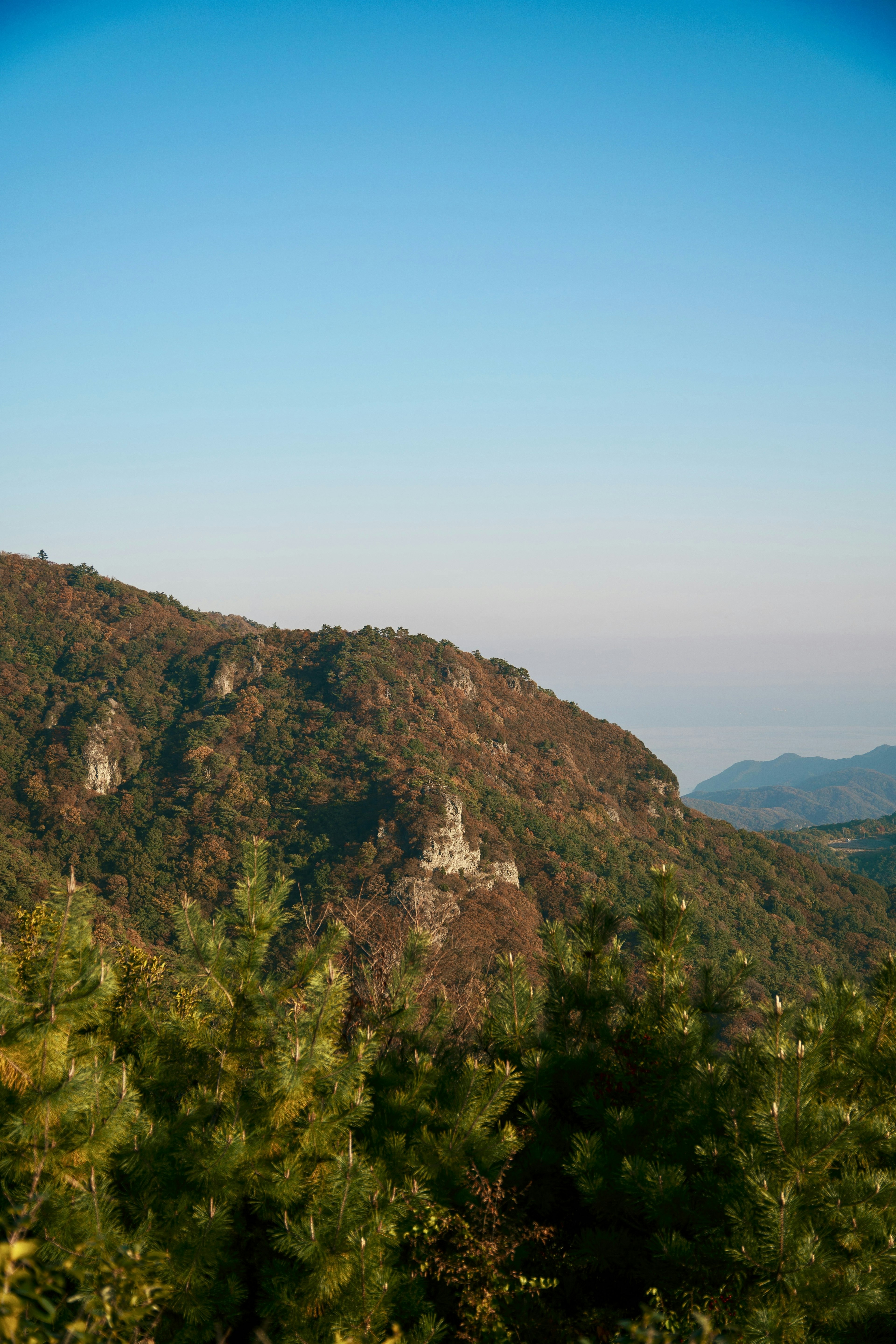 青空の下に広がる山々と緑豊かな木々の景色