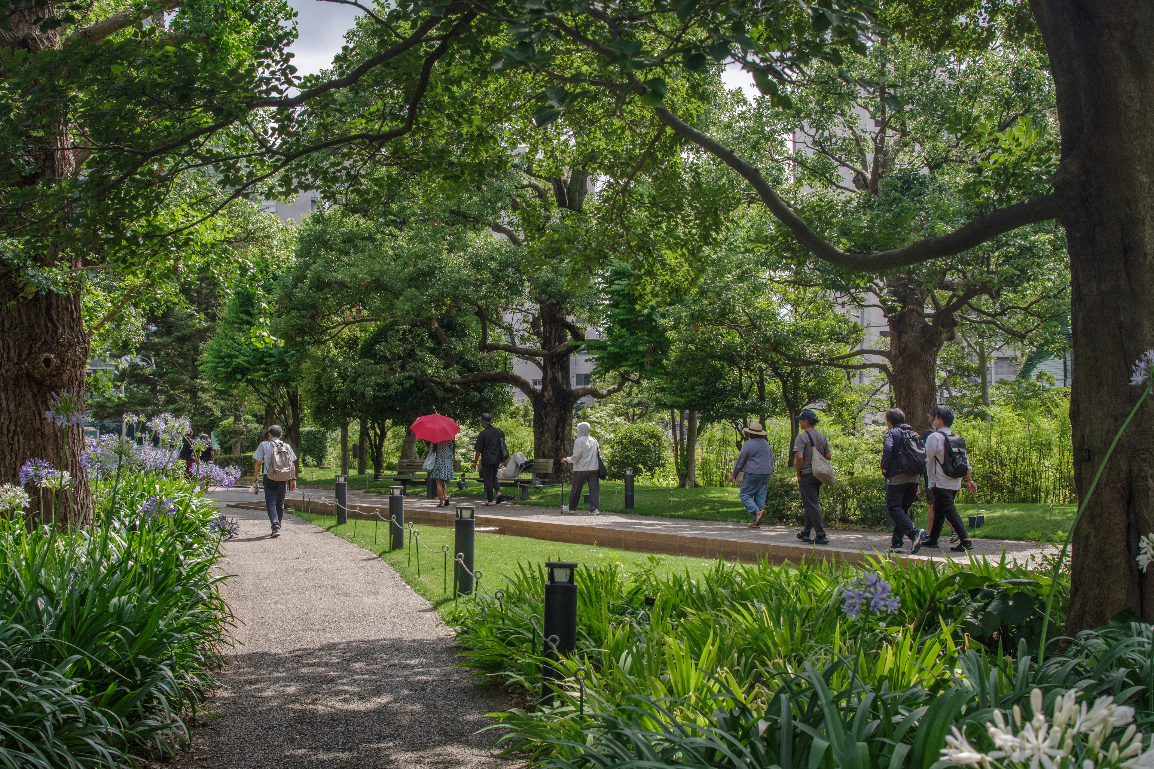 Un chemin de parc pittoresque avec des gens marchant et une végétation luxuriante