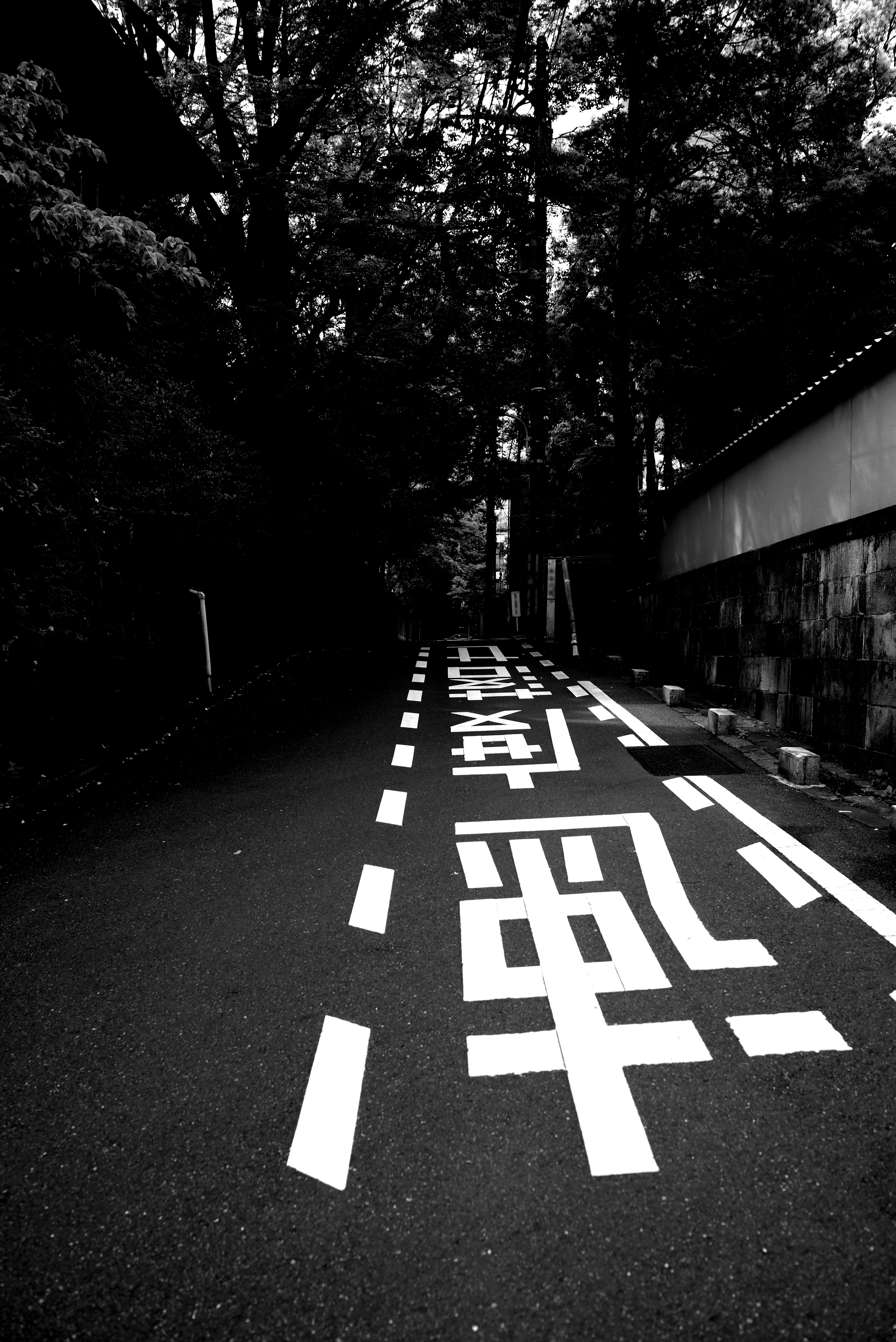 Black and white photo of a road with white markings and surrounding trees