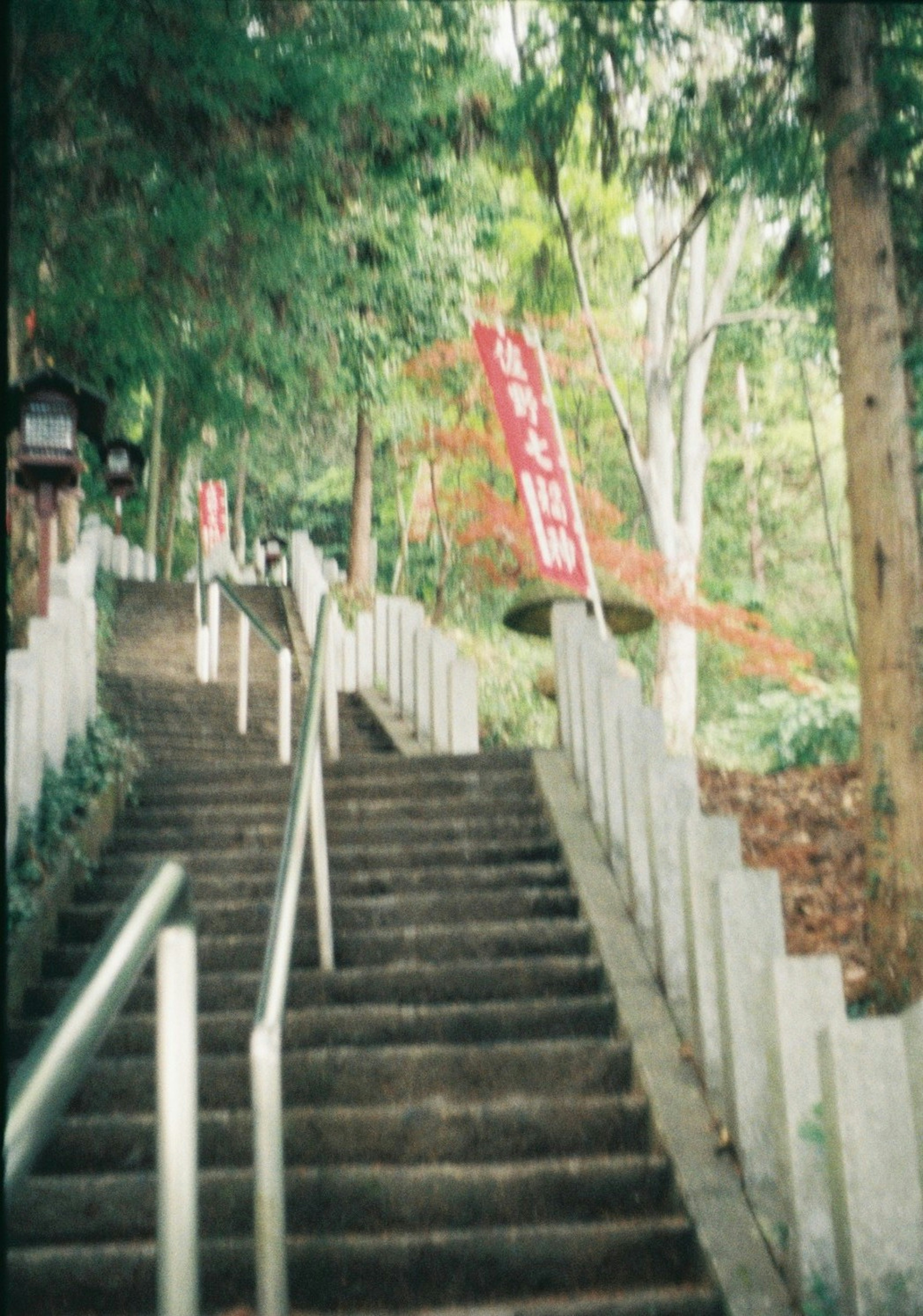 階段の上に続く小道と緑の木々と赤い旗