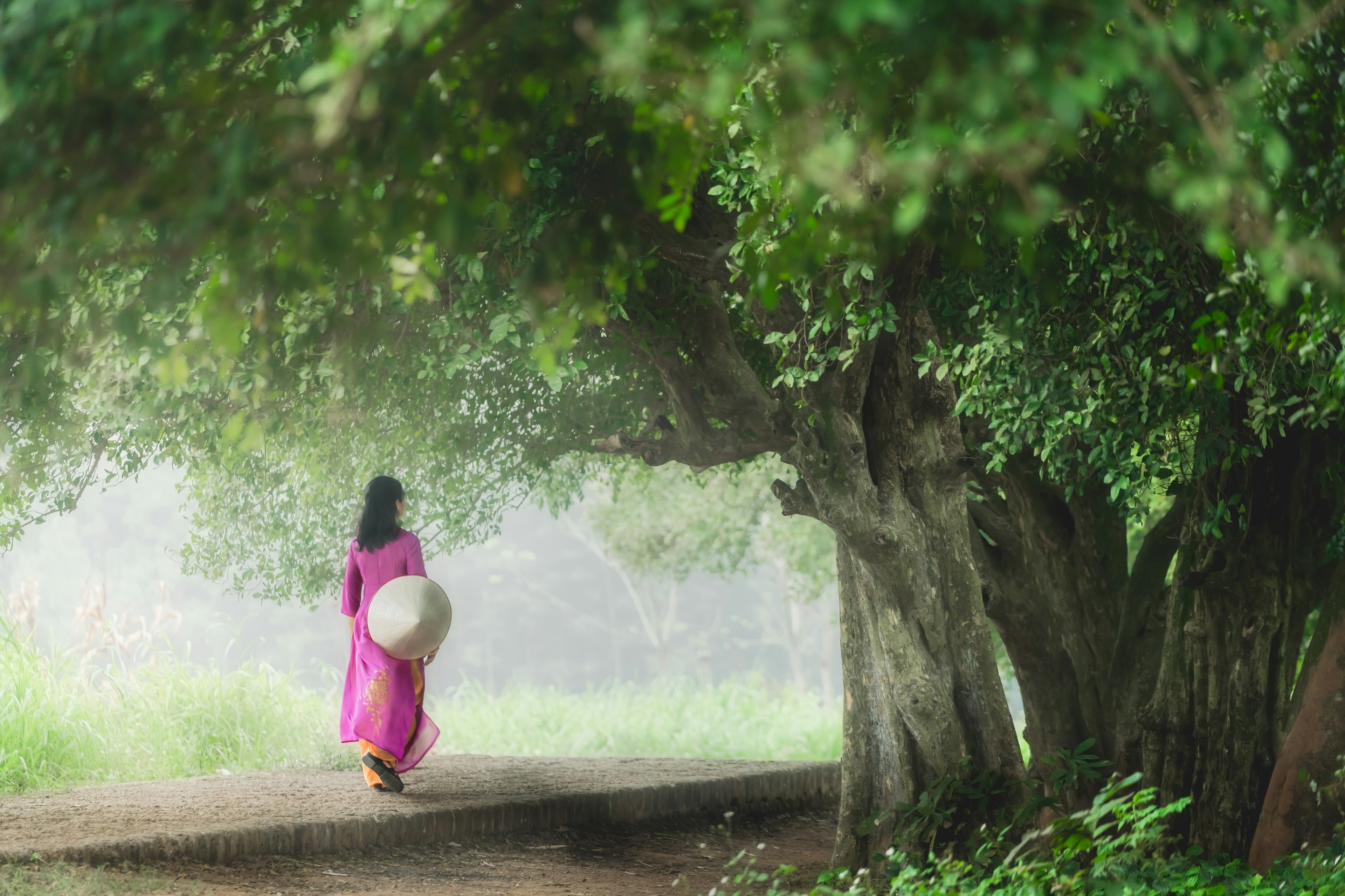 Una donna che cammina sotto alberi verdi indossando un vestito rosa e portando un ombrello