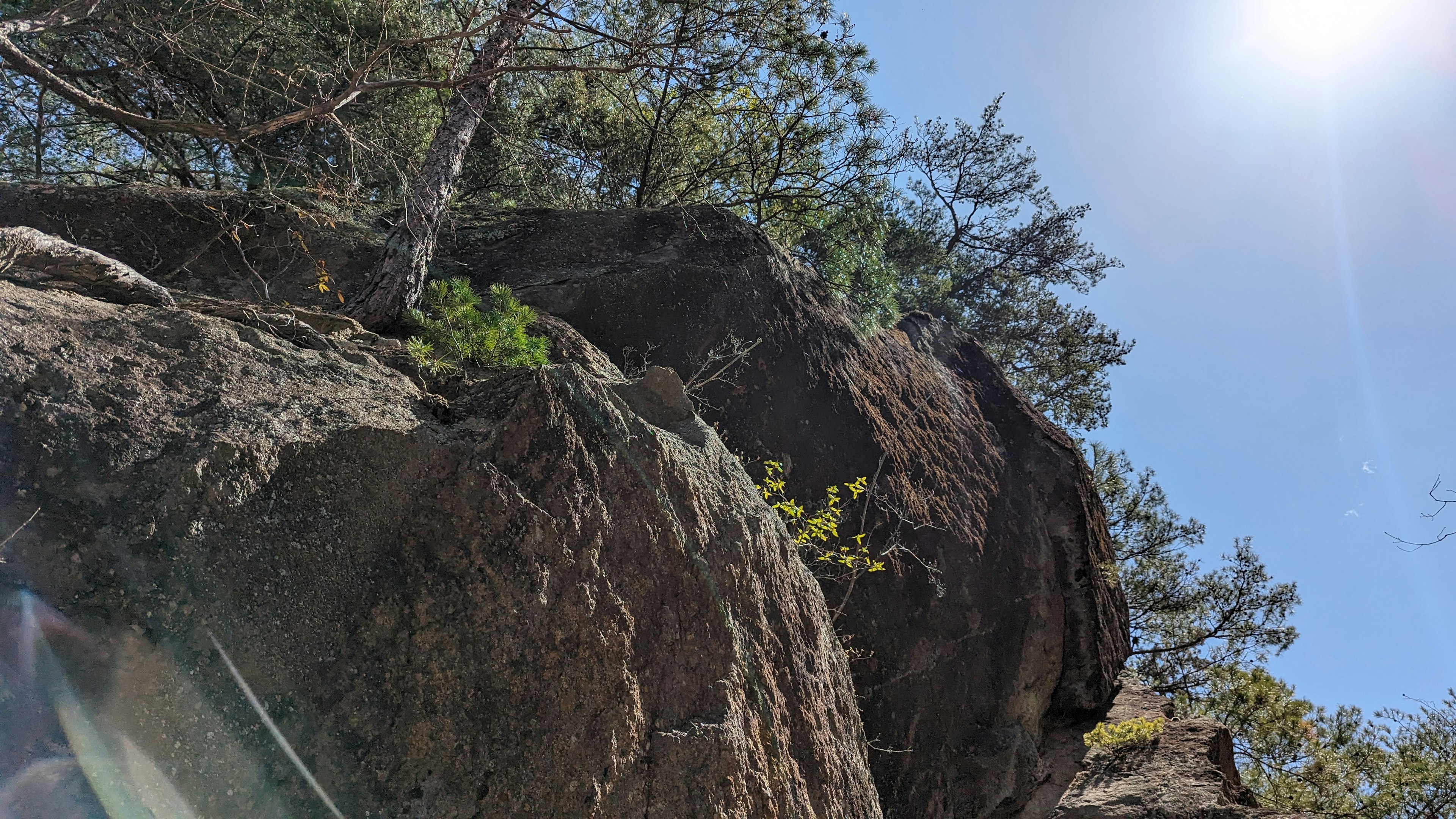 Blick auf Felsen und Bäume unter einem blauen Himmel