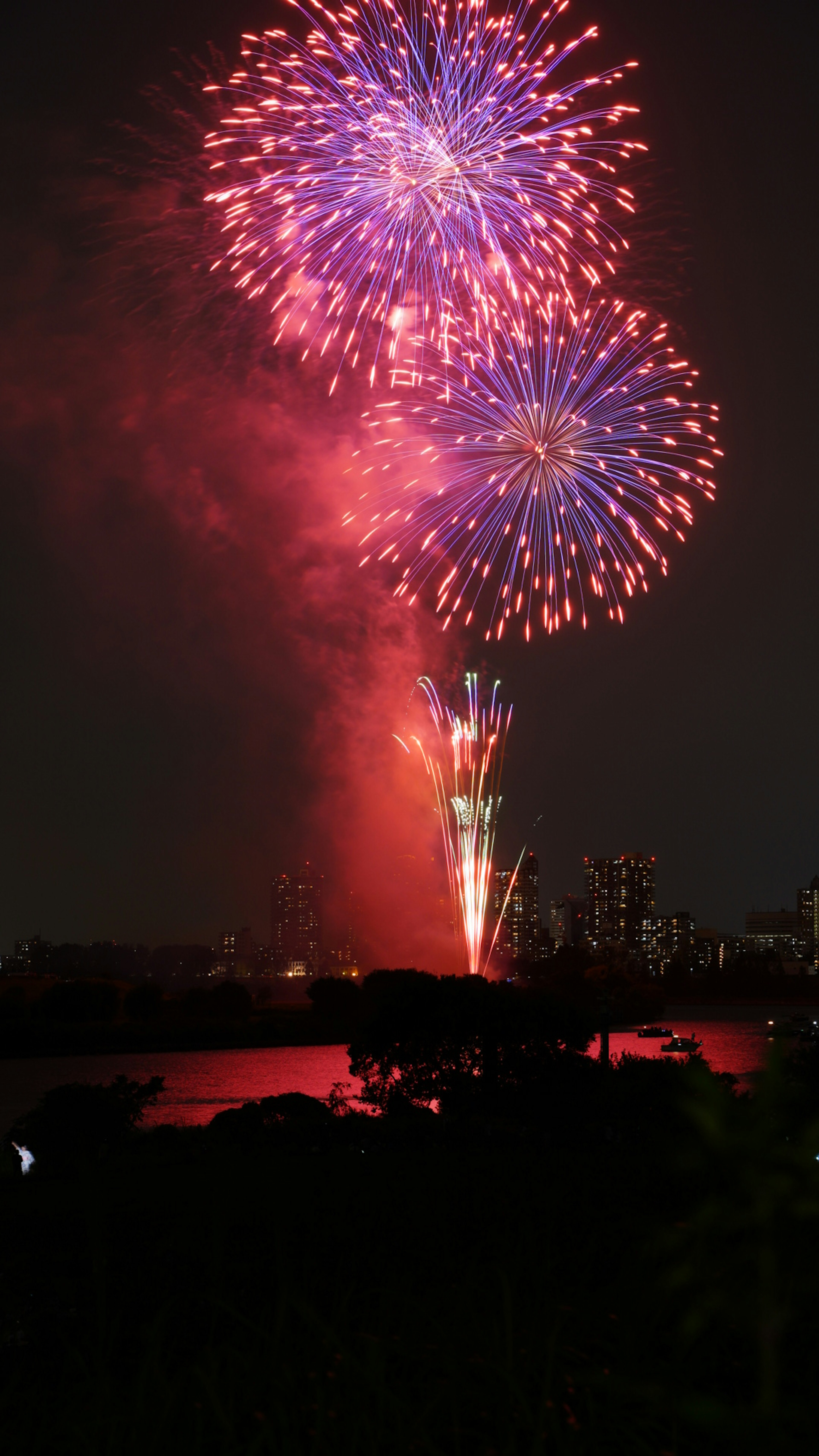 夜空に打ち上げられた赤と紫の花火が見える