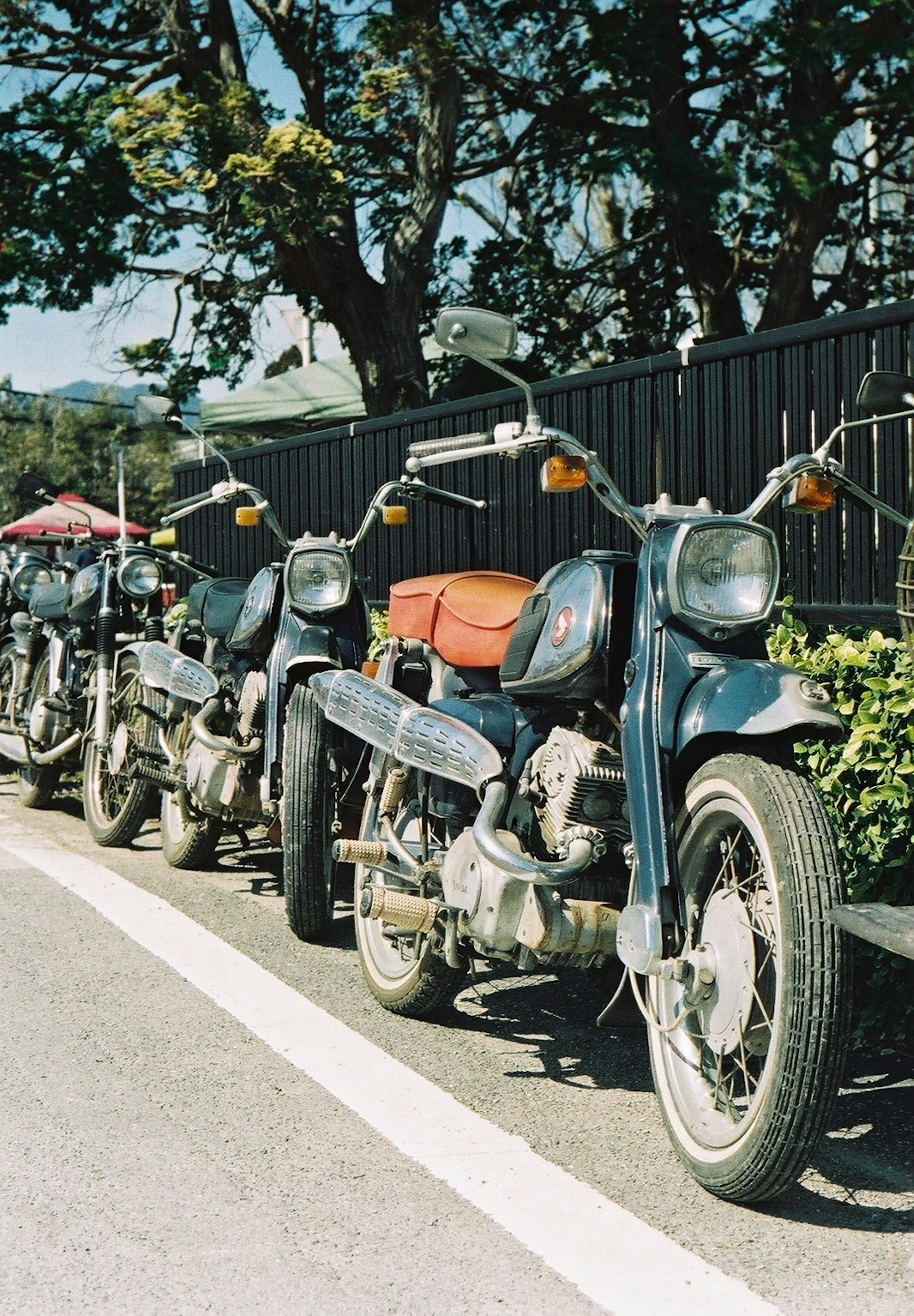 Reihe von blauen Motorrädern, die entlang einer Straße geparkt sind, umgeben von Bäumen und einem schwarzen Zaun mit einem orangefarbenen Sitz