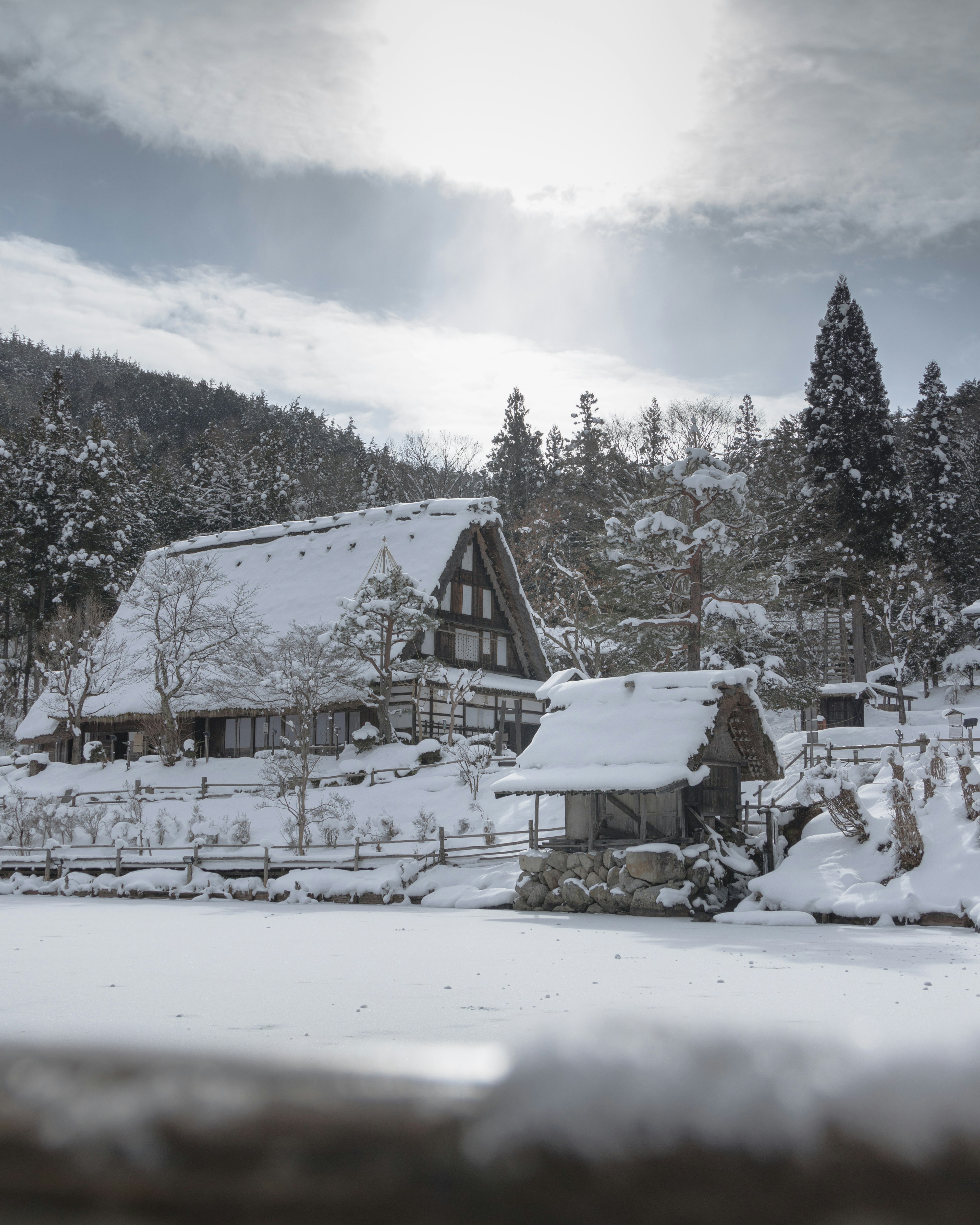 Casas japonesas tradicionales cubiertas de nieve rodeadas por la naturaleza