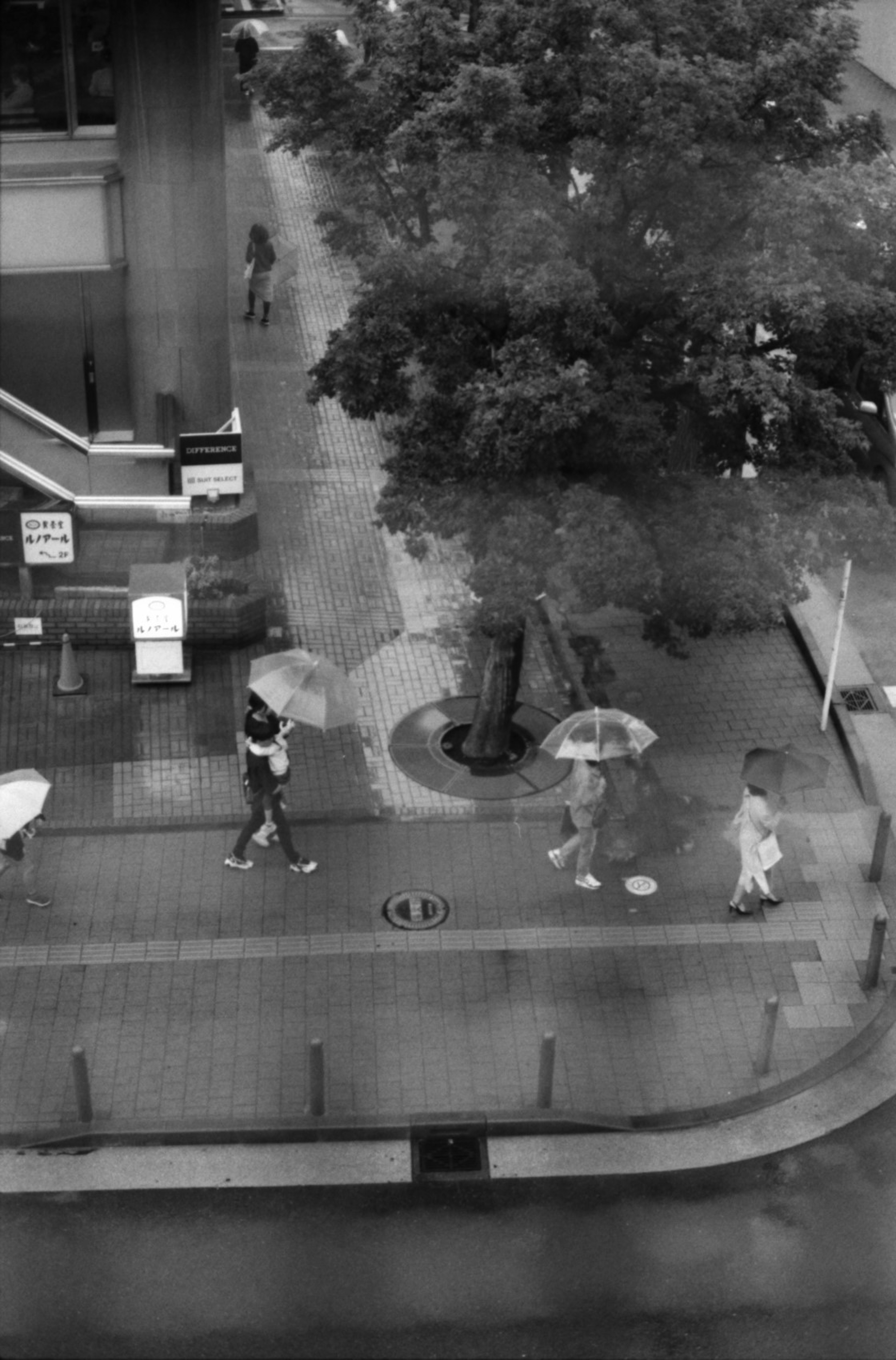 Black and white photo of people walking with umbrellas in the rain