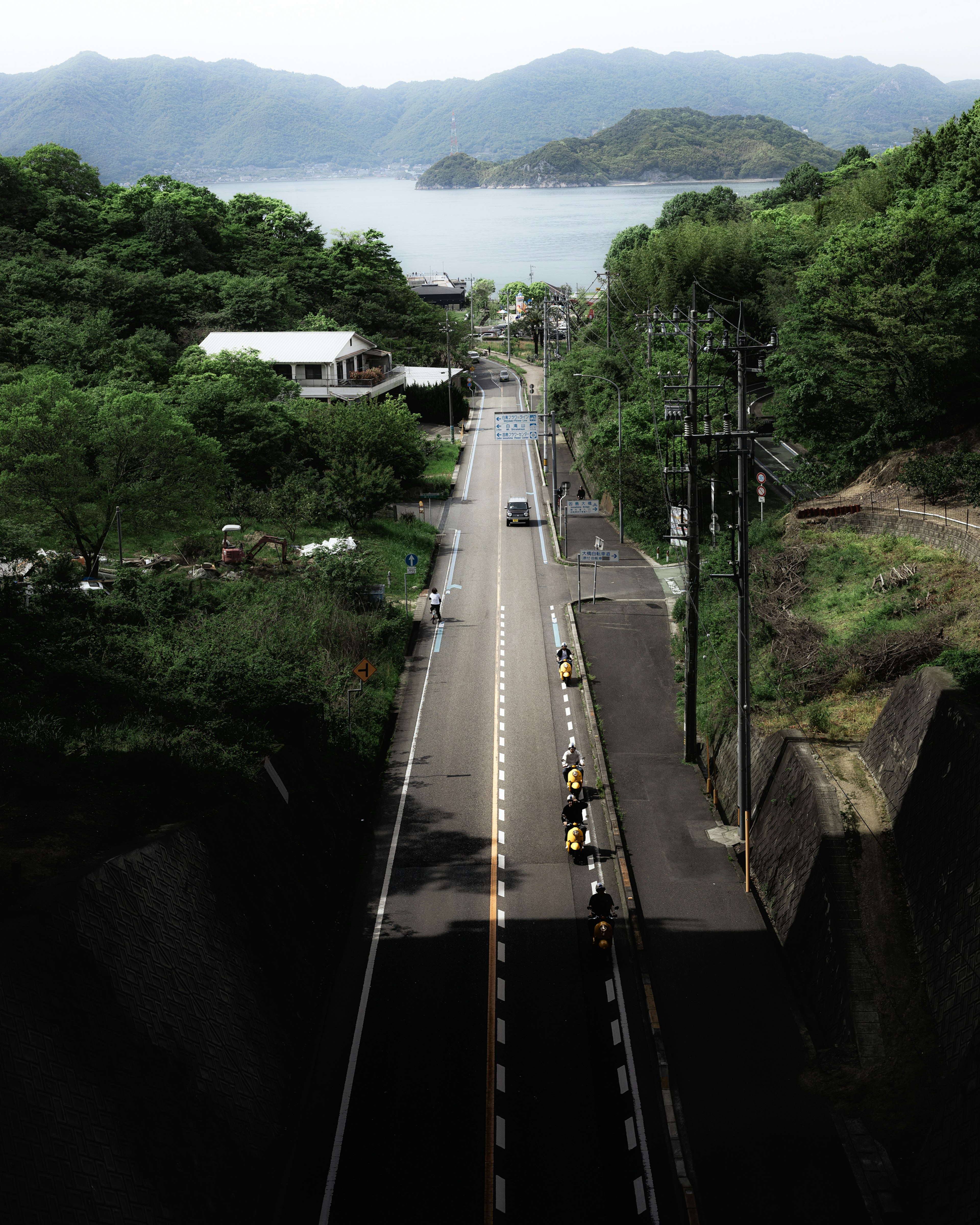 緑に囲まれた道路と遠くの湖が見える風景