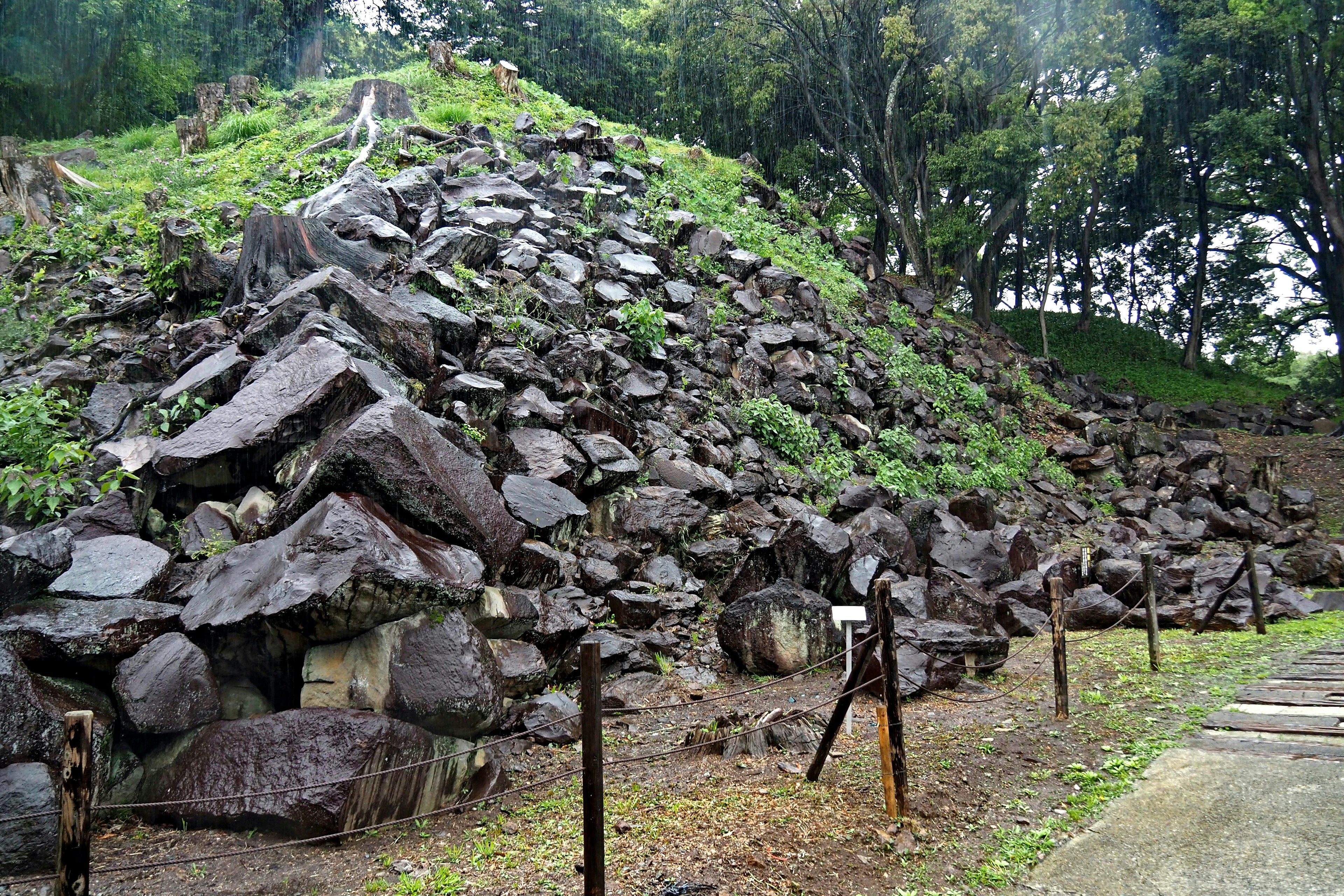 A hillside covered with scattered rocks and lush greenery