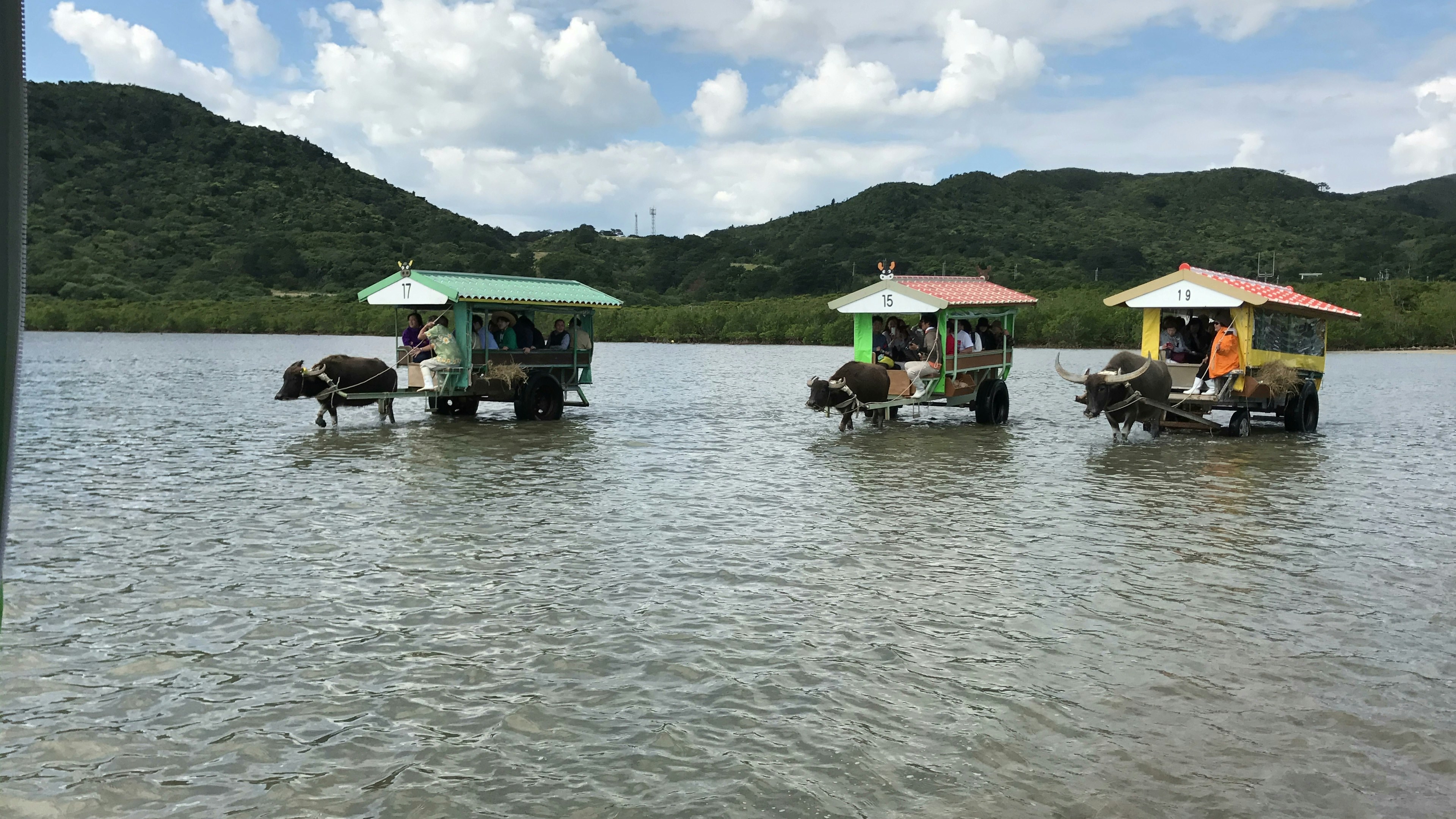 水上に浮かぶ小屋と水牛が見える風景