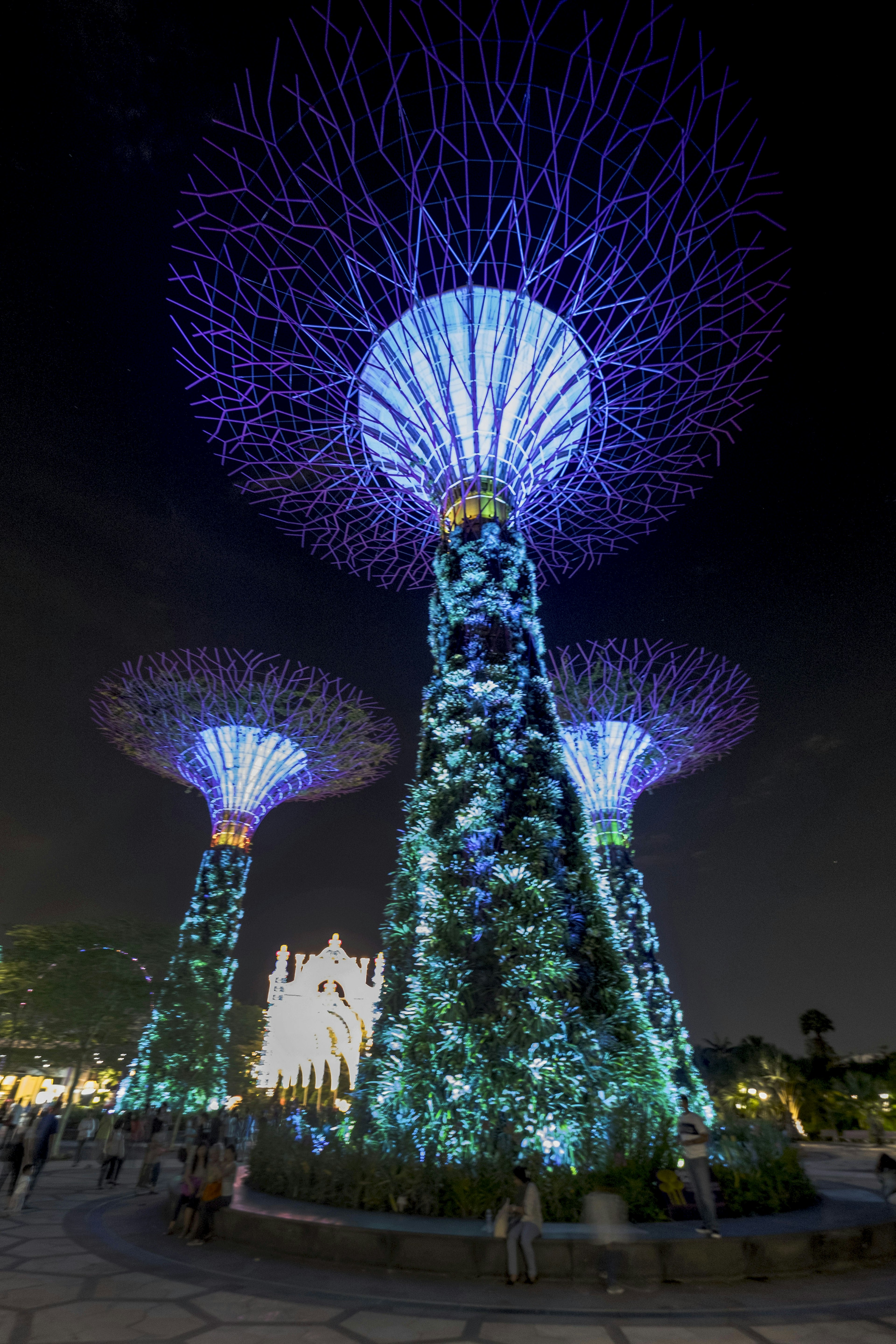 Cây siêu tại Gardens by the Bay được chiếu sáng bằng ánh sáng xanh và tím vào ban đêm