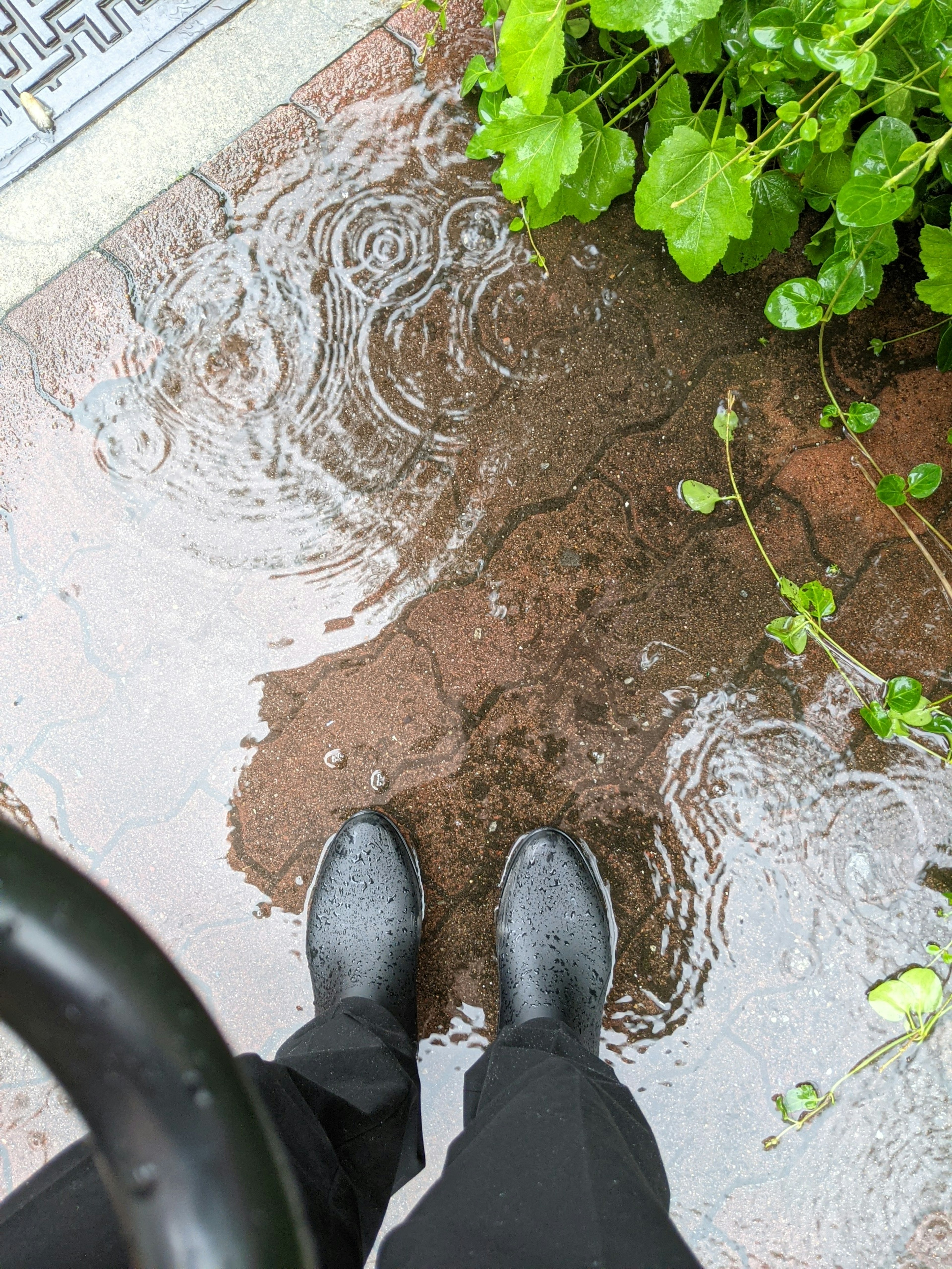 Pies en botas de lluvia negras de pie en un charco con plantas verdes cercanas